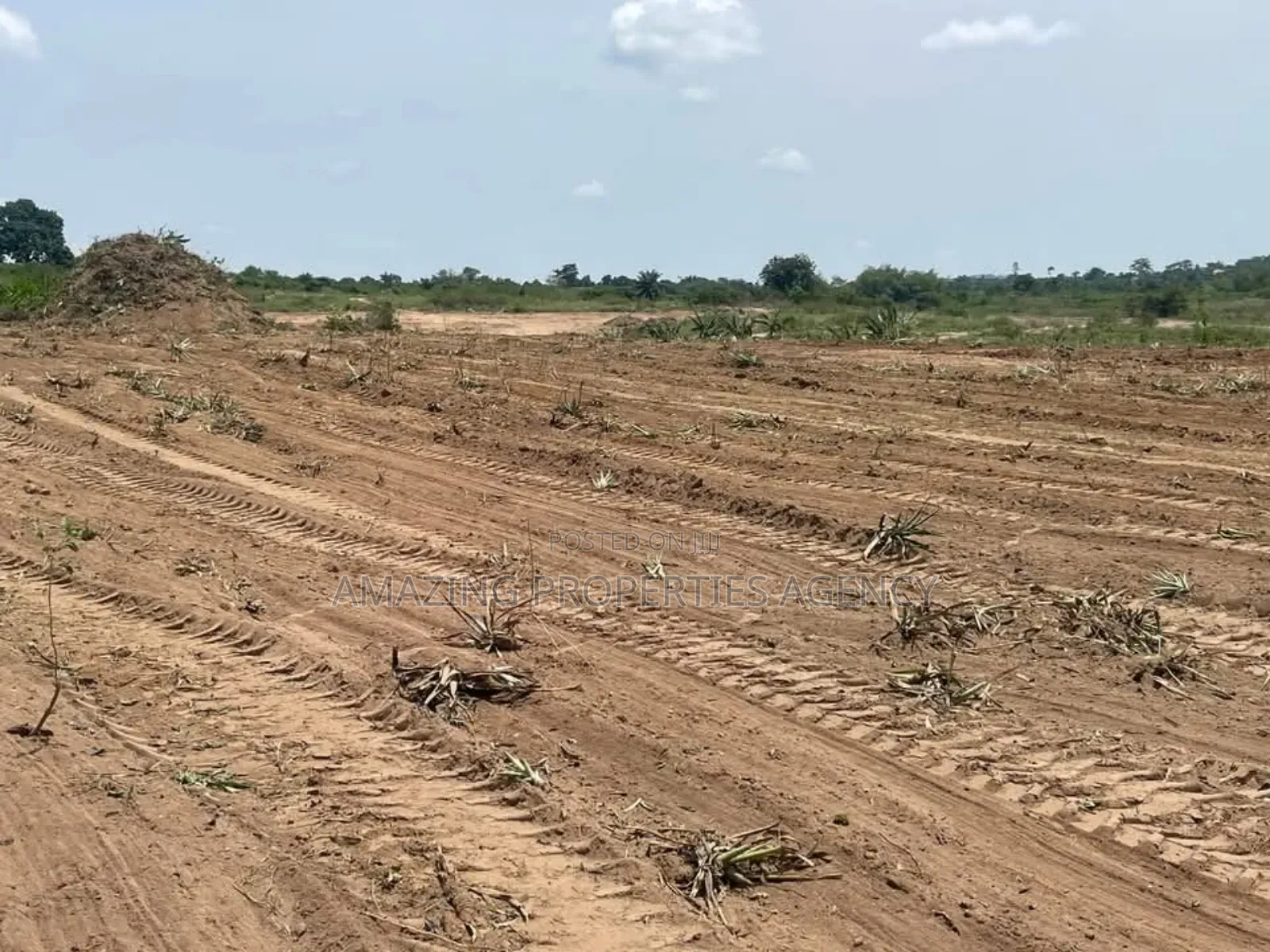 50 Acres of Land at Beach Land Title for Sale Ningo Prampram in Tema Metropolitan