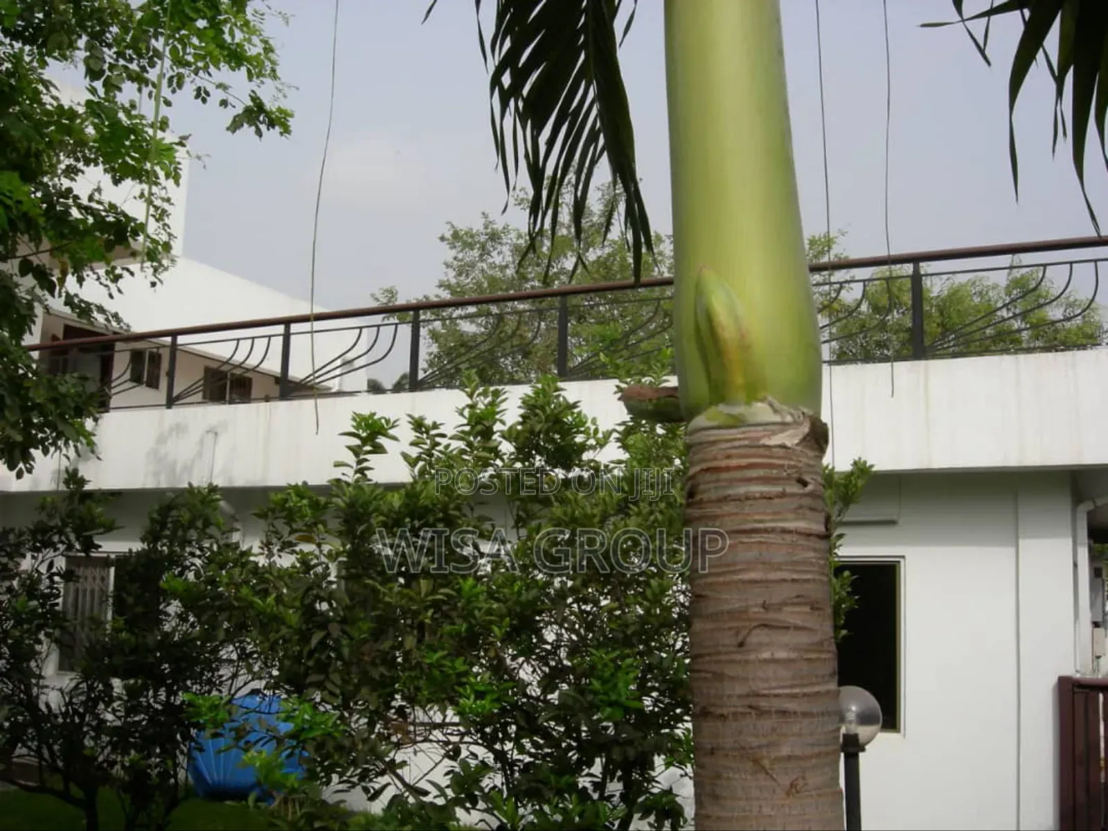 5bdrm Duplex in Wisa Group, Accra Metropolitan for rent in Accra Metropolitan
