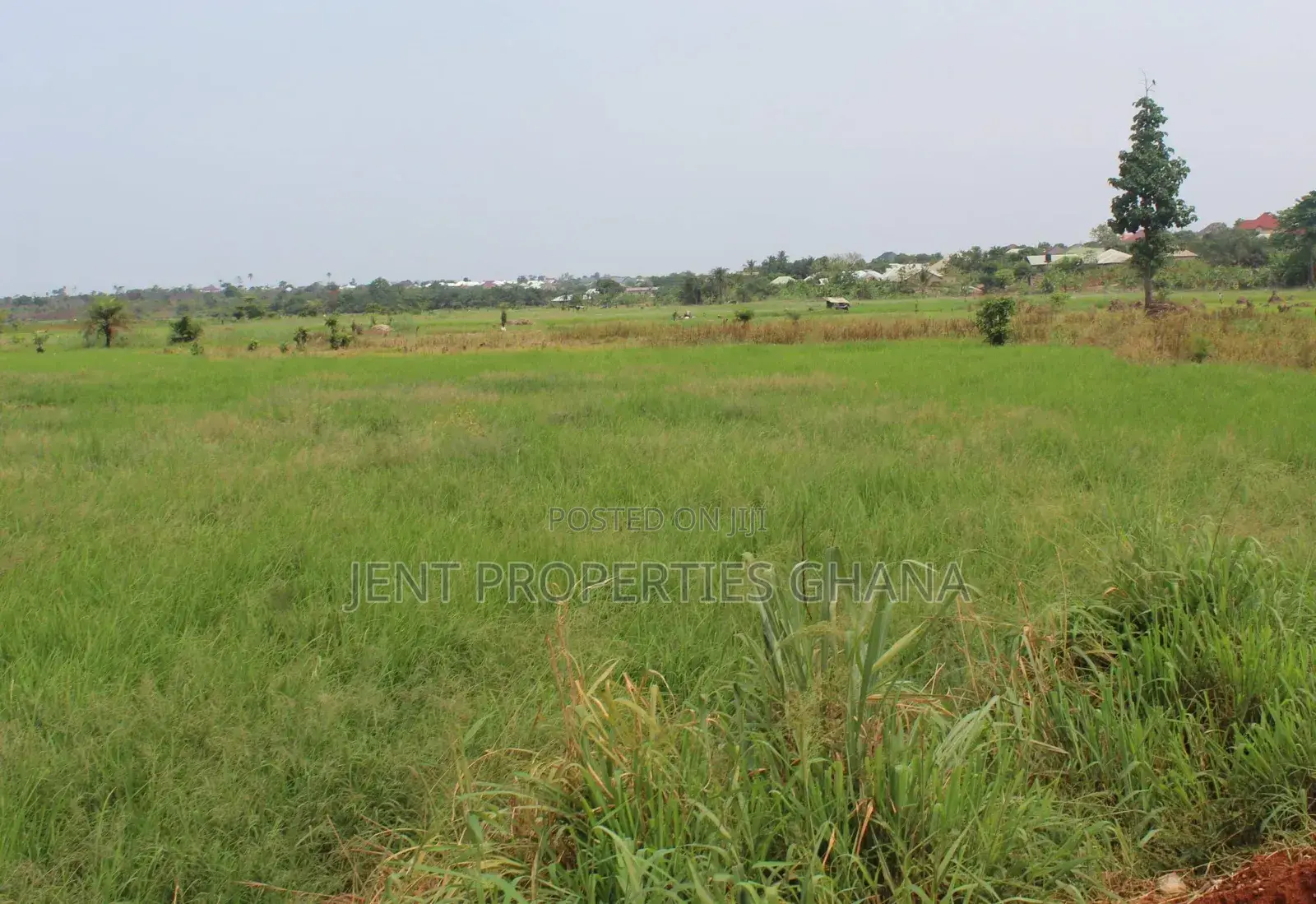 30 ,000 Acres of Vast Commercial Lands for Sale at Juapong in North Tongu