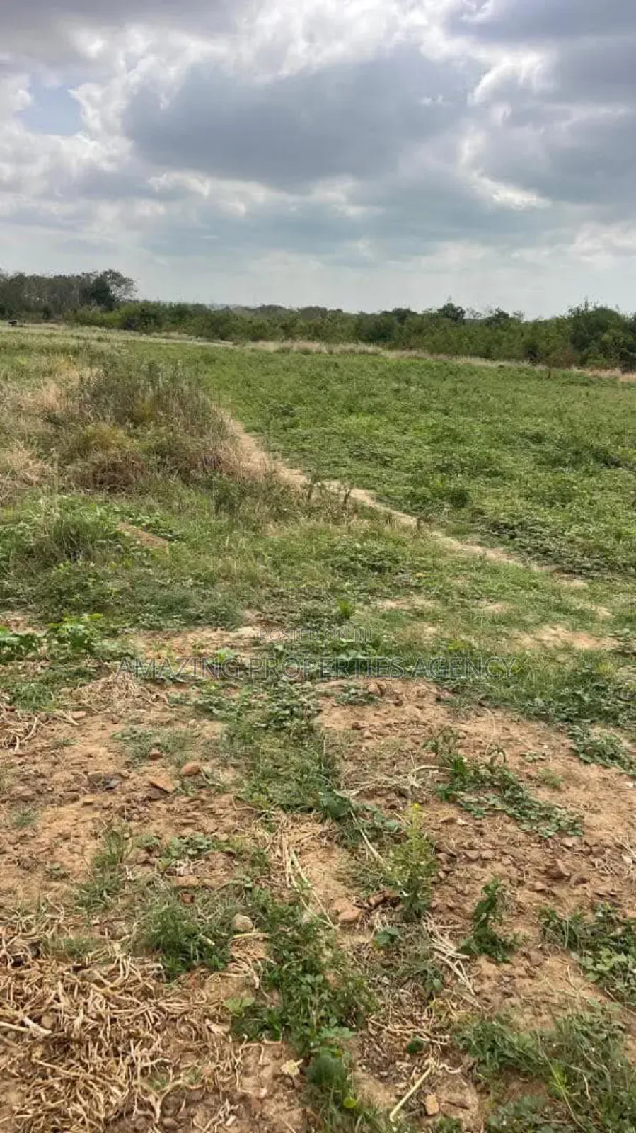 Plots of Land for Sale at Lashibi in Lashibi