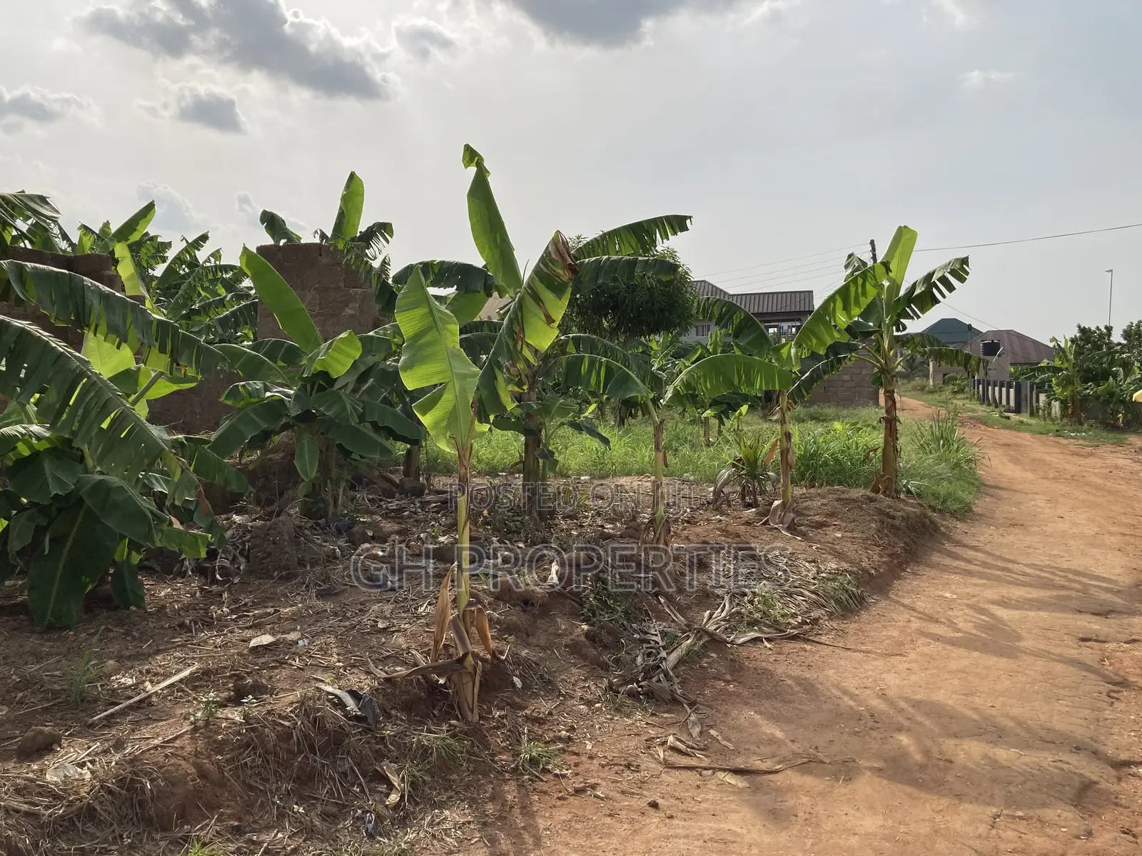 One Plot for Sale at Kwanwoma Konkoli. in Kumasi Metropolitan