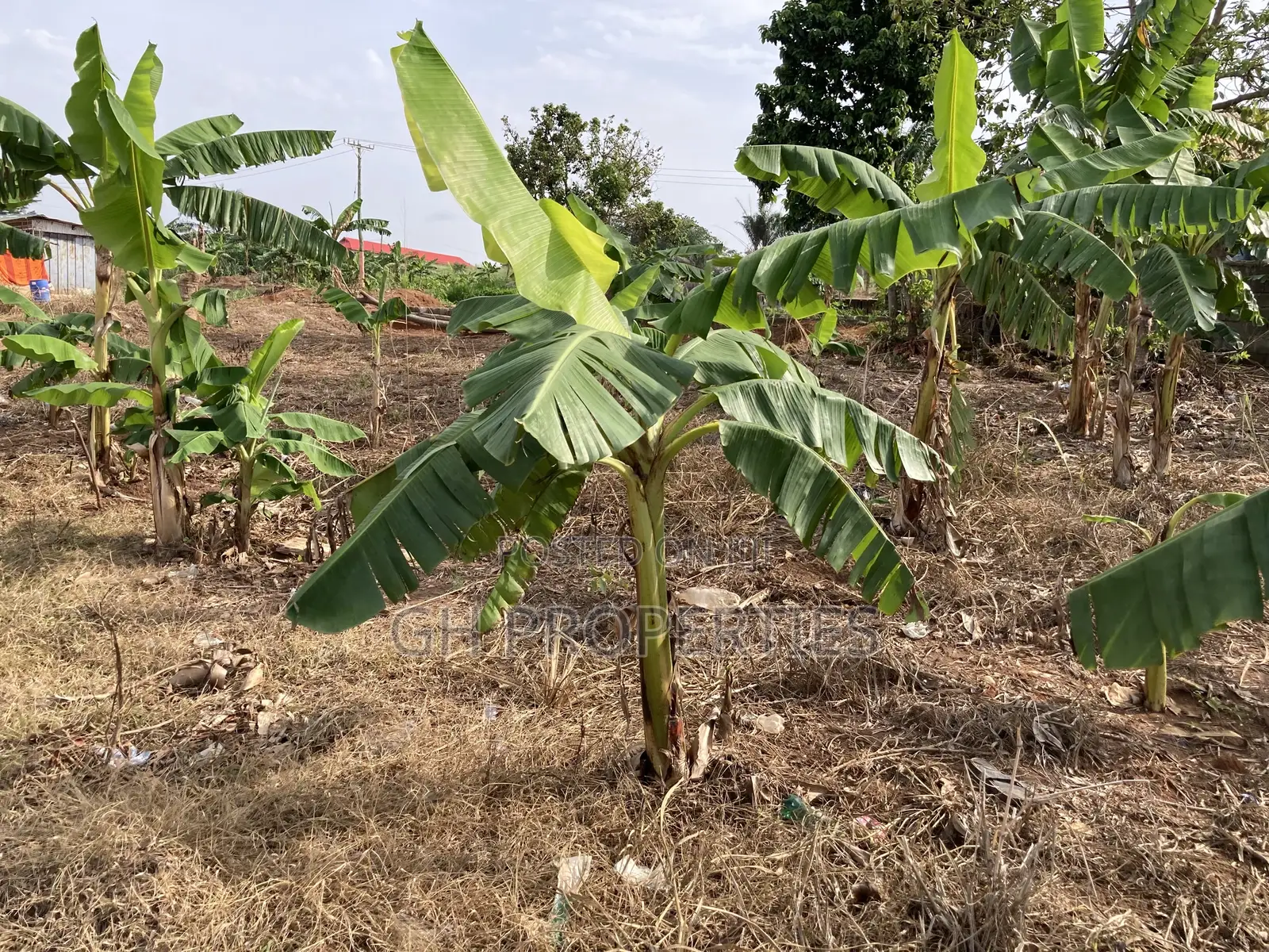 One Plot for Sale at Kwanwoma Konkoli. in Kumasi Metropolitan