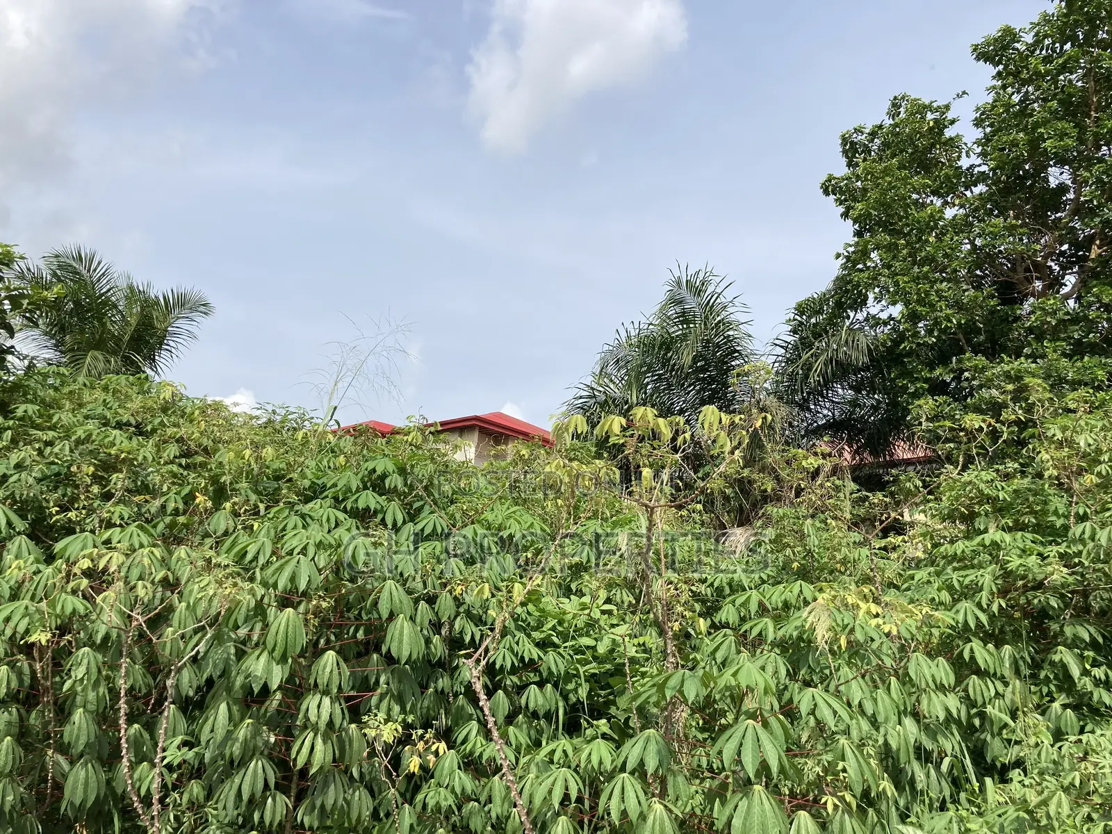 Plots for Sale at Kwanwoma,Duropem. in Kumasi Metropolitan