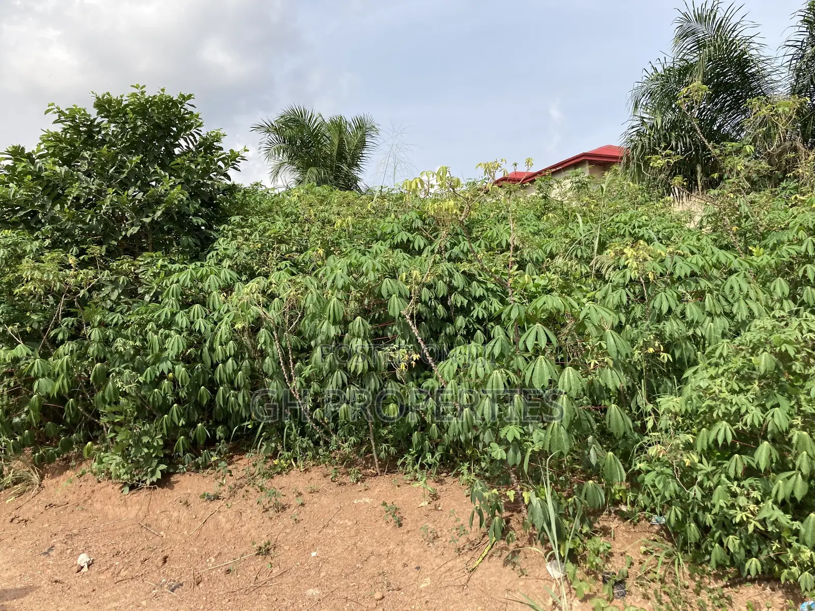 Plots for Sale at Kwanwoma,Duropem. in Kumasi Metropolitan