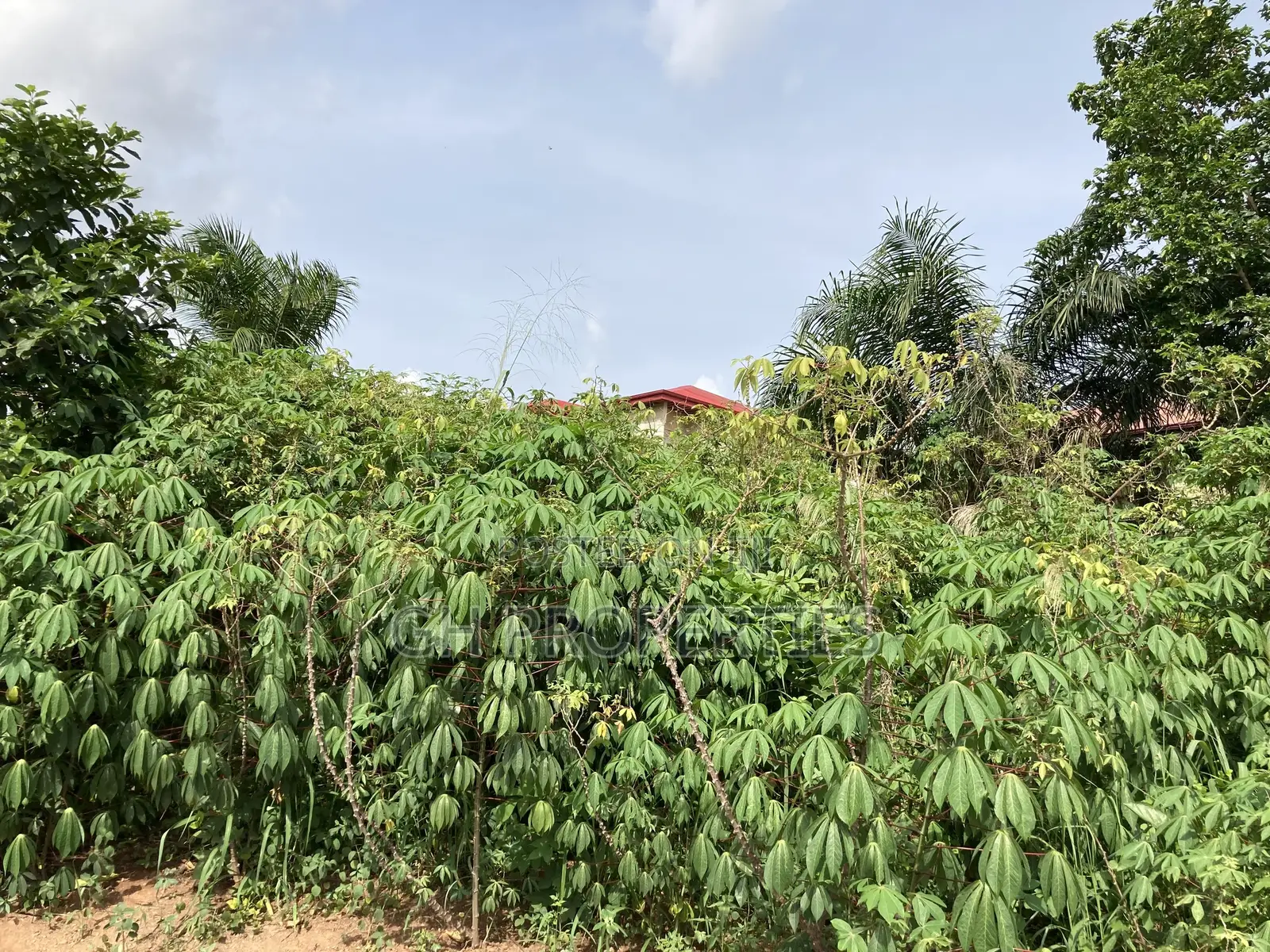 Plots for Sale at Kwanwoma,Duropem. in Kumasi Metropolitan