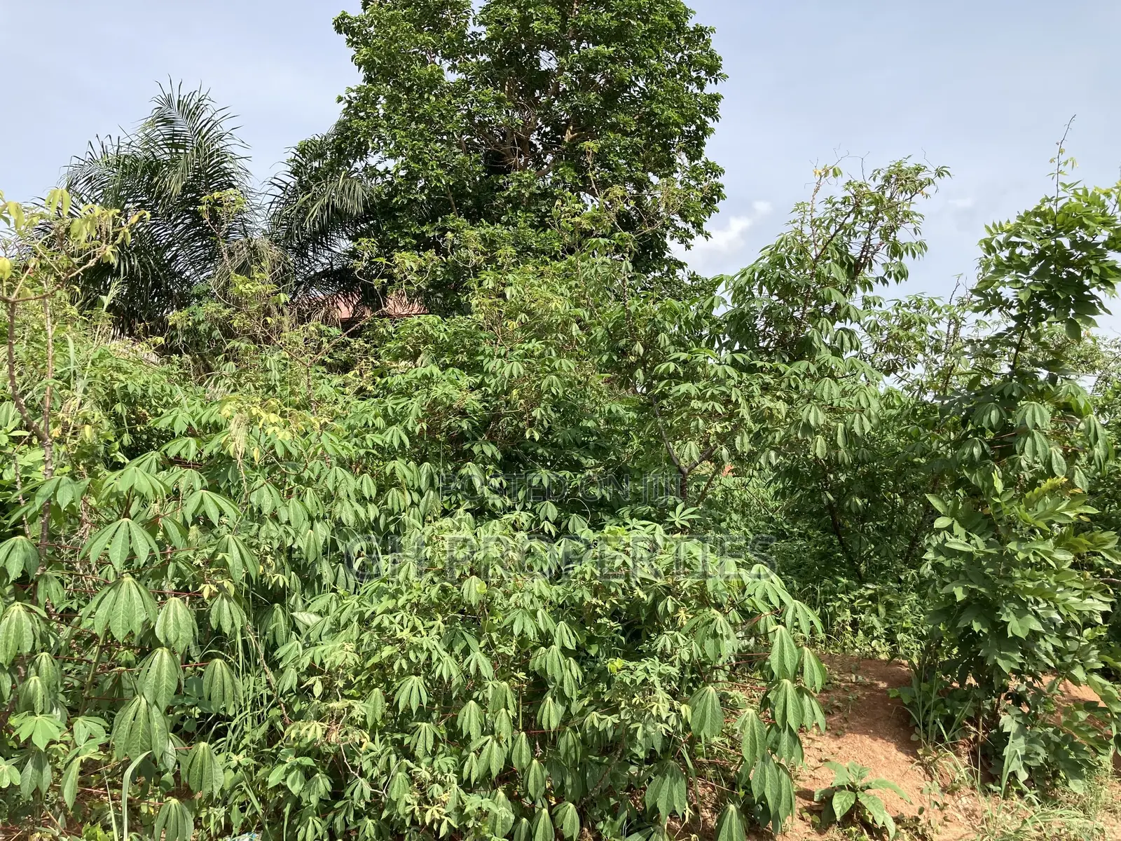 Plots for Sale at Kwanwoma,Duropem. in Kumasi Metropolitan