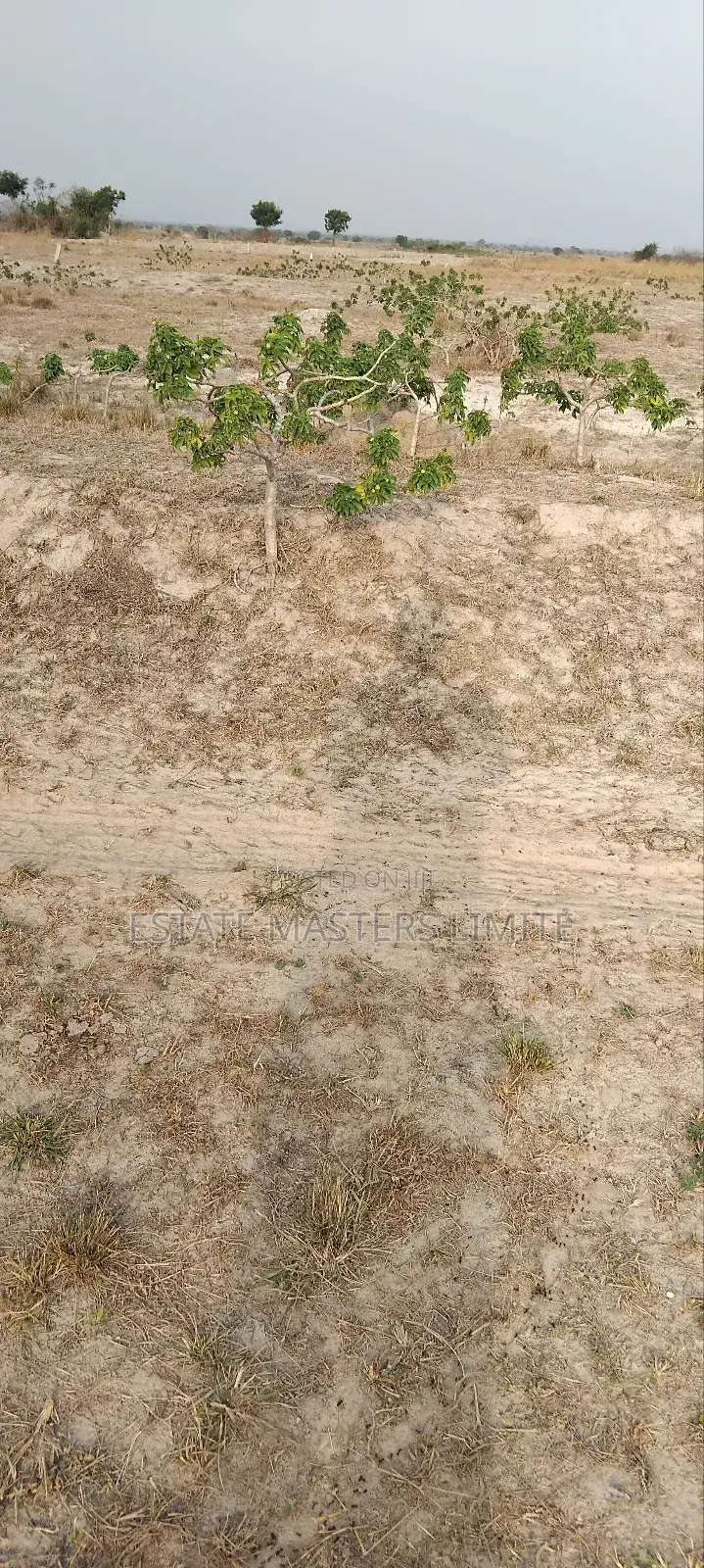 Titled Registered Lands for Sale at Tsopoli in Gomoa East