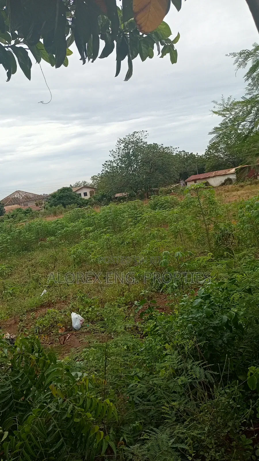 Titled Roadside Land for Sale at Danfa in Danfa
