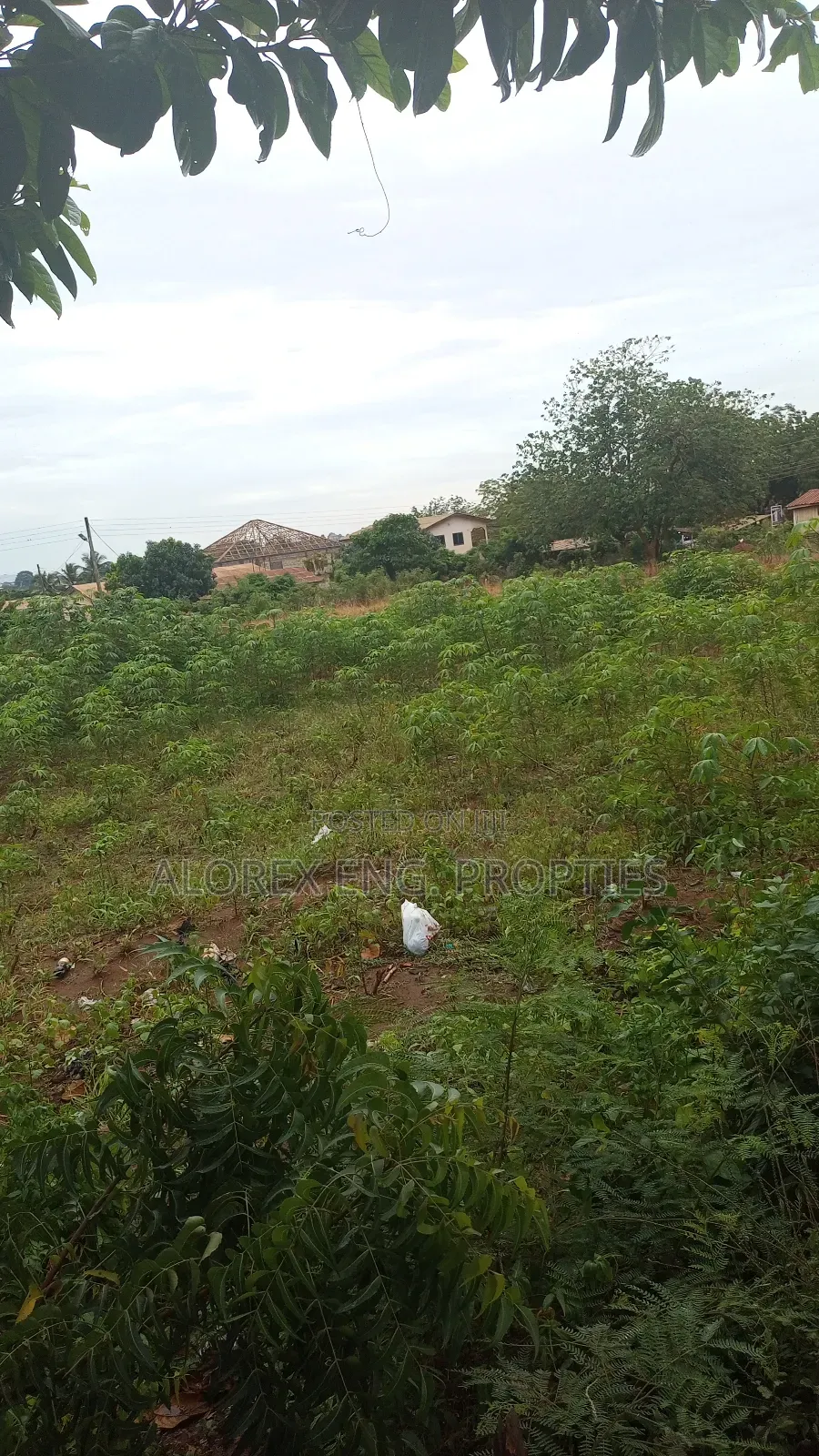 Titled Roadside Land for Sale at Danfa in Danfa