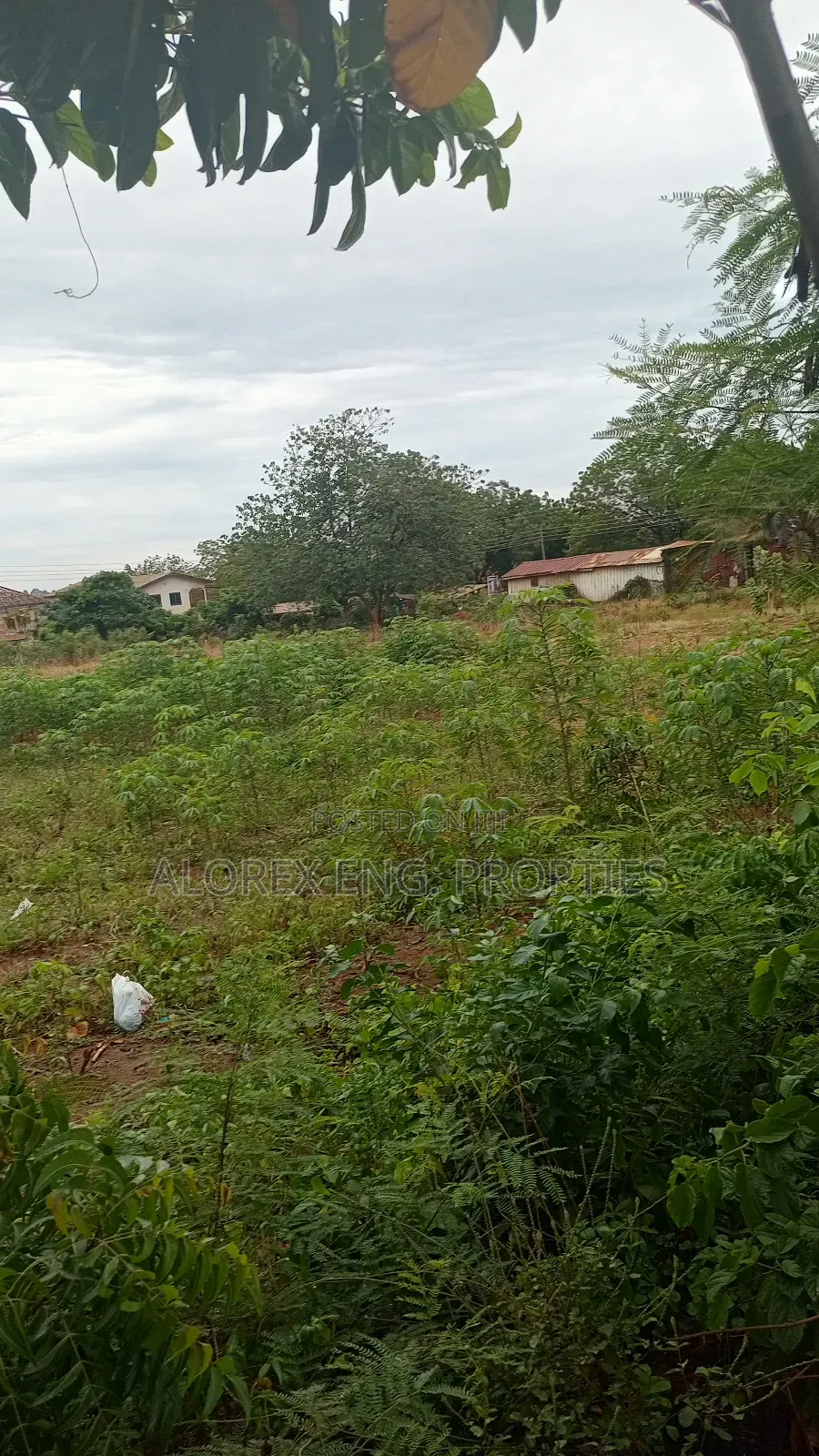 Titled Roadside Land for Sale at Danfa in Danfa