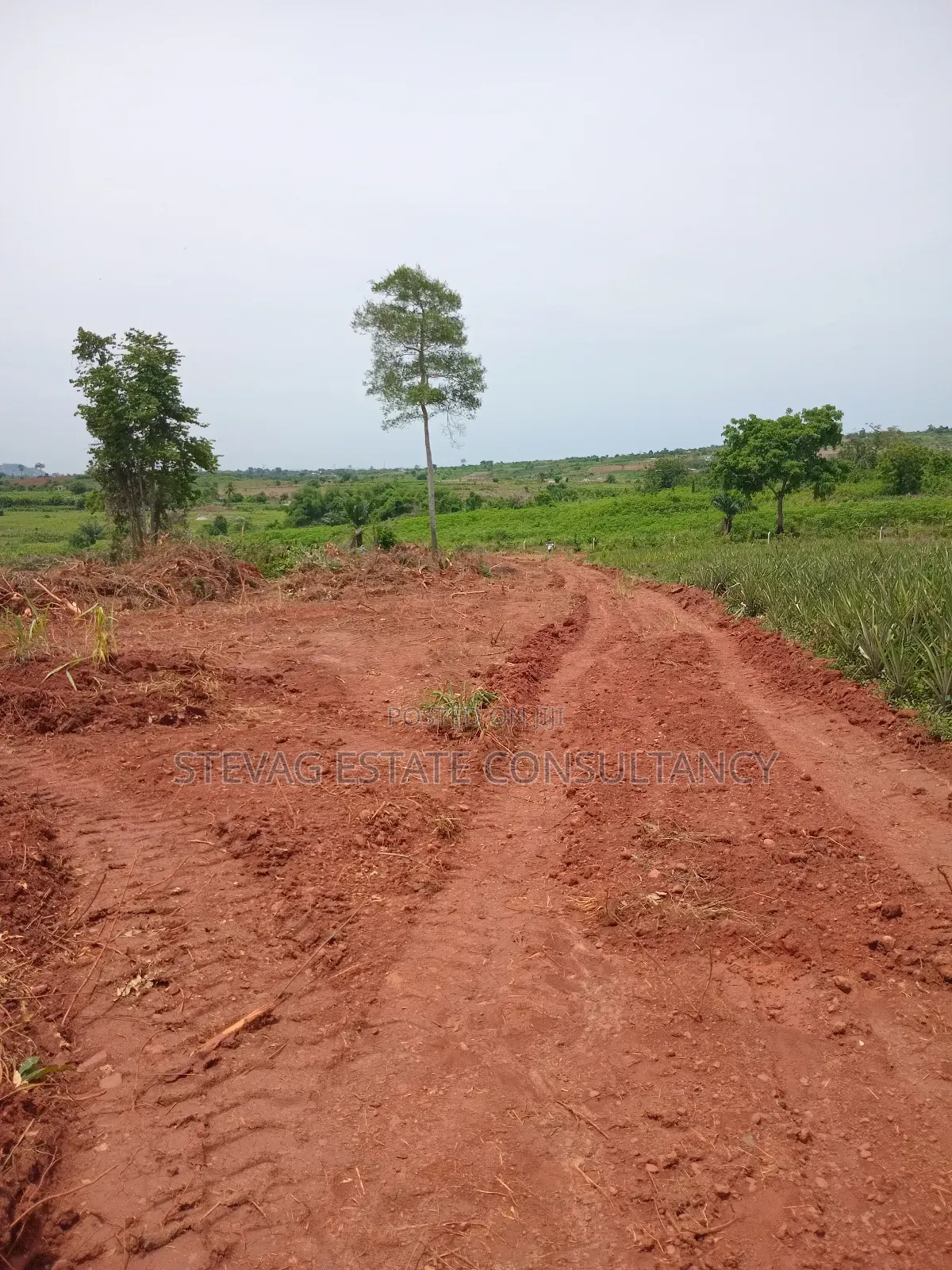 Land for Sale at Kasoa Akraman Town in Awutu Senya East Municipal