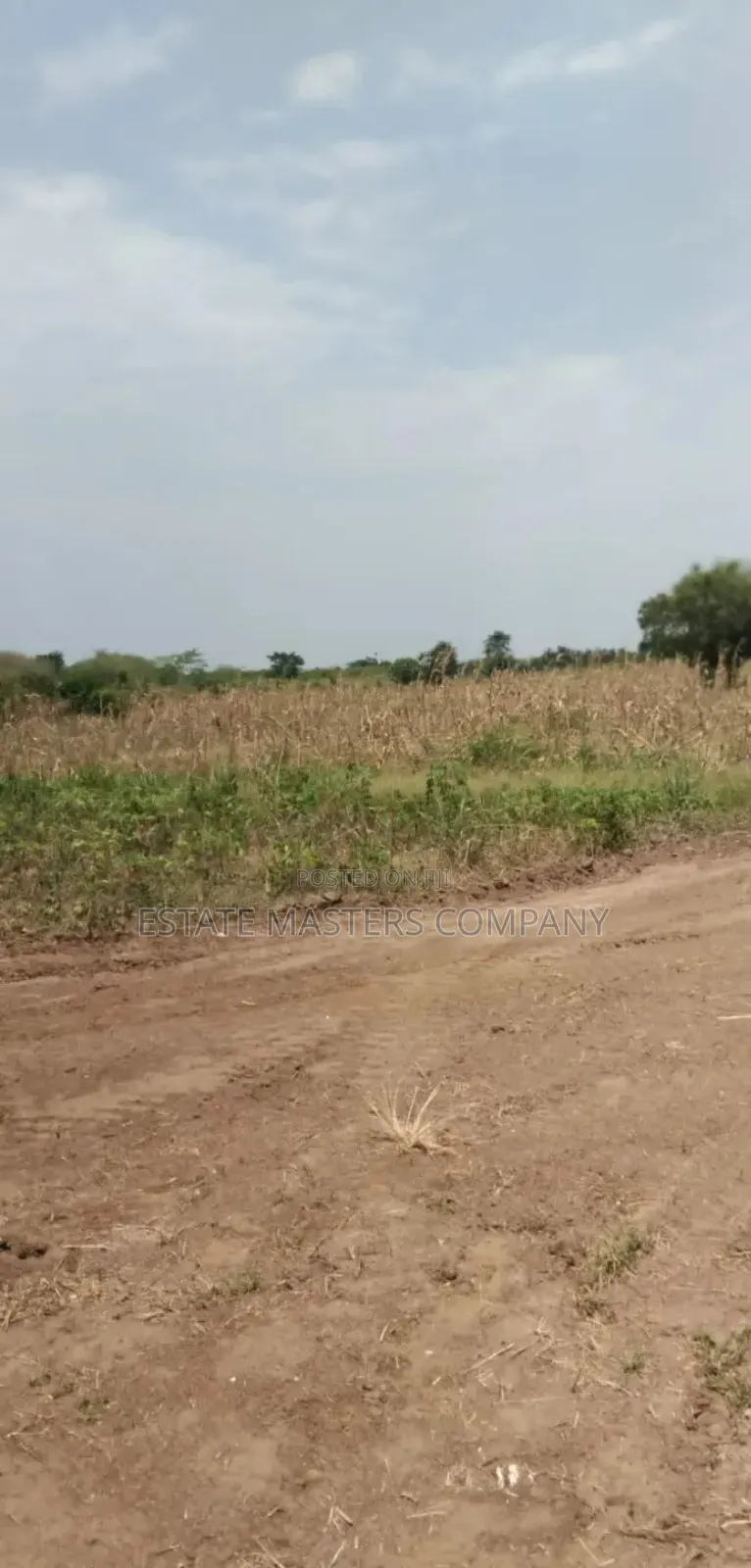 Good Location Land With Free Documentation in Kasoa