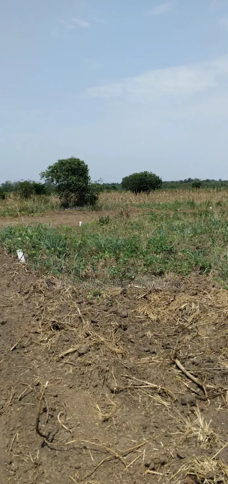 Land at Dominase Township With Authentic Documents in Kasoa