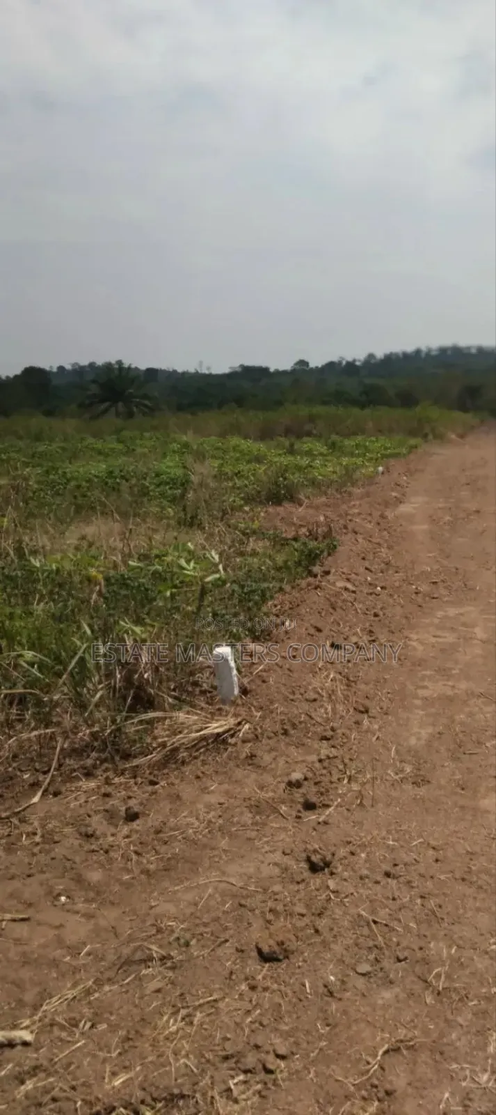 Panfokrom Land With Good Road and Network in Kasoa