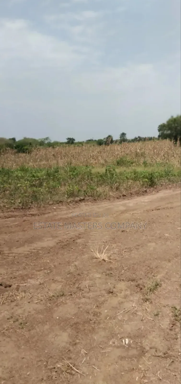 Do Your Project Without Any Drawbacks in Kasoa