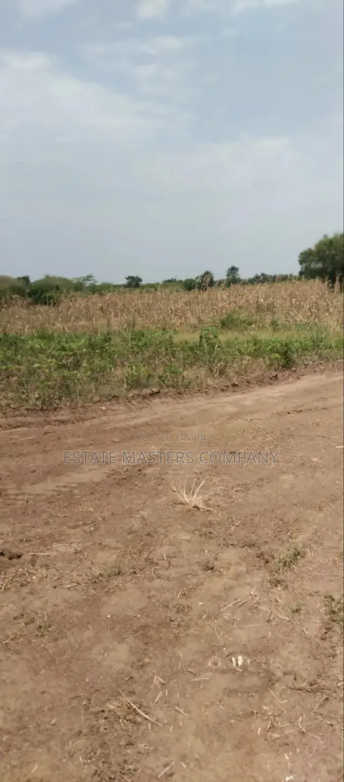 Yayira Land at Panfokrom in Kasoa