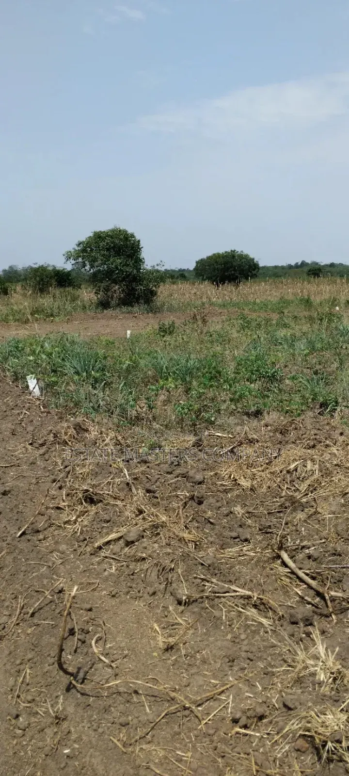 Land Close to District Assembly at Panfokrom in Kasoa