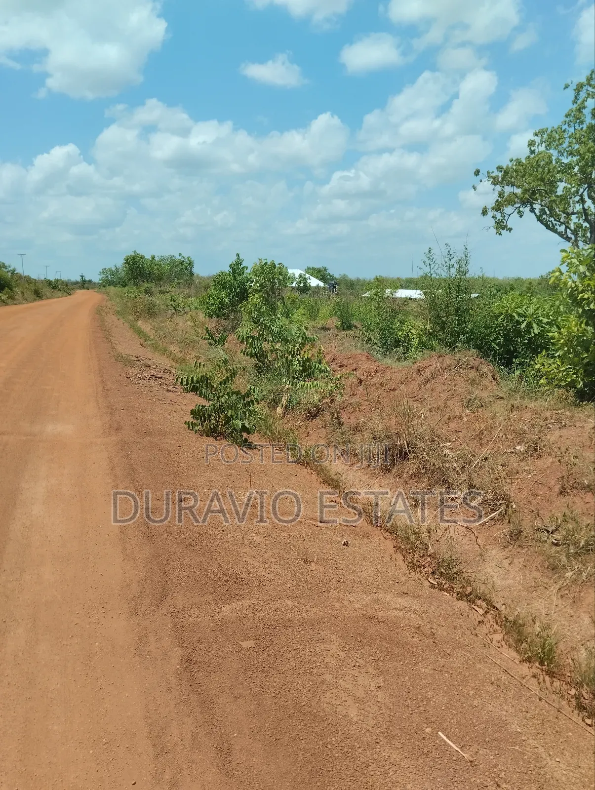 Affordable Farm Land in Nsuta in Kumasi Metropolitan