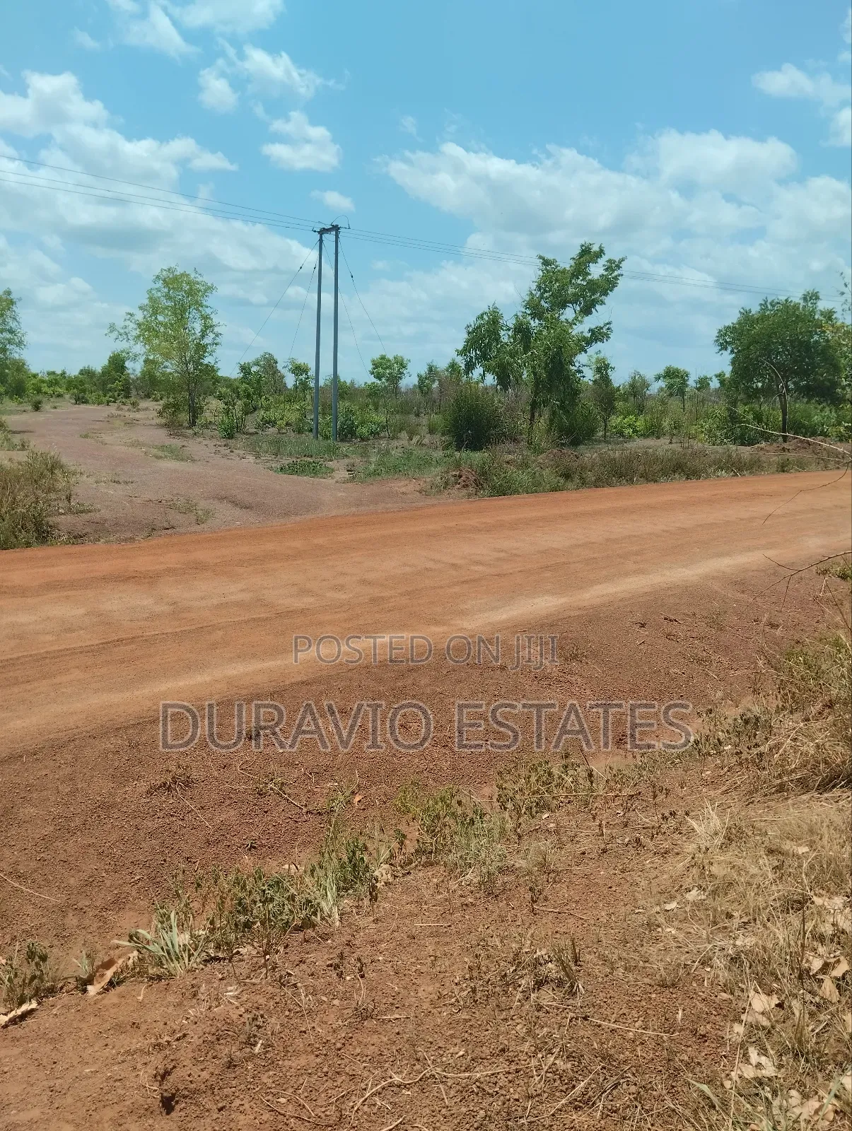 Affordable Farm Land in Nsuta in Kumasi Metropolitan