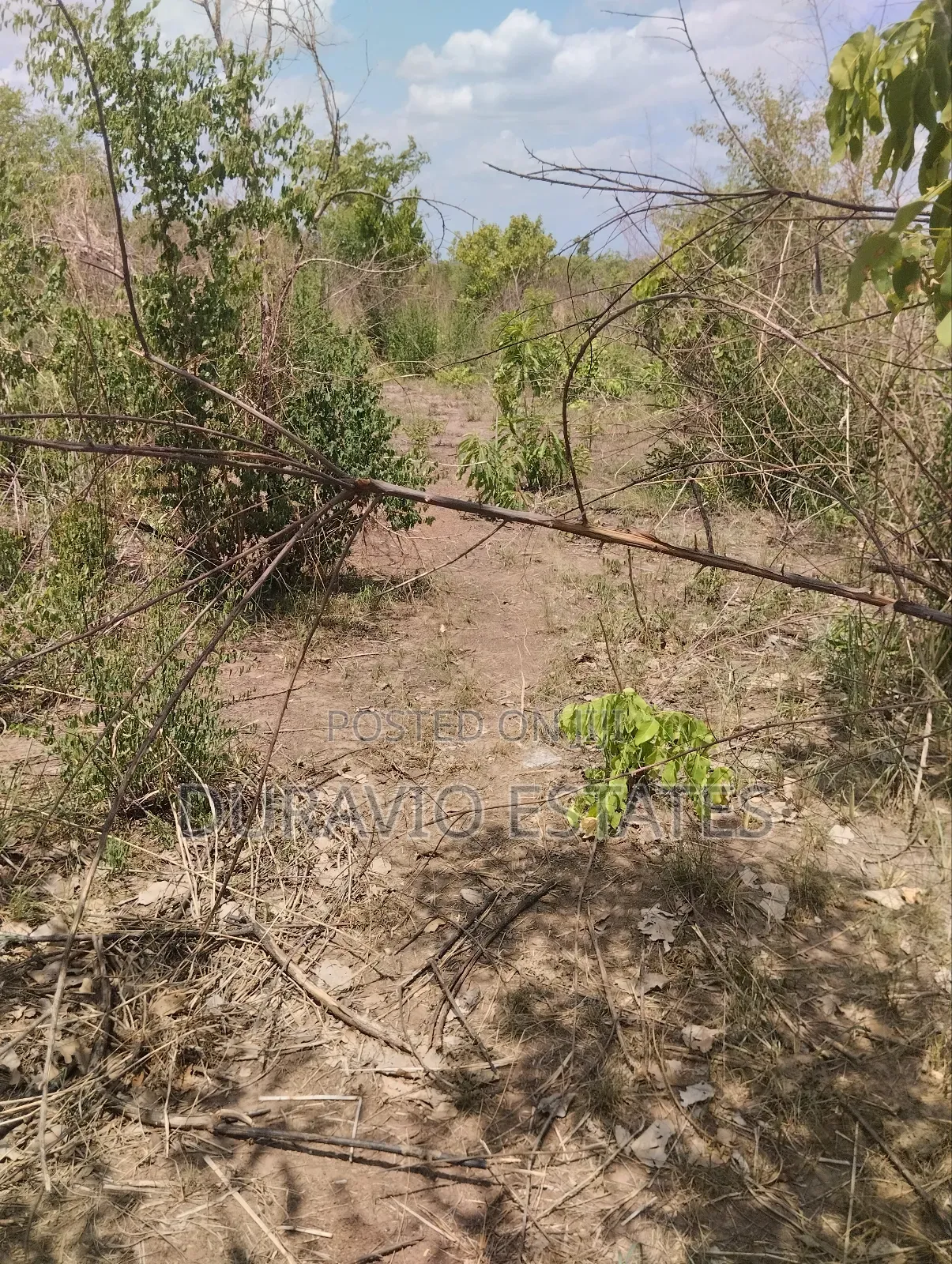 Affordable Farm Land in Nsuta in Kumasi Metropolitan