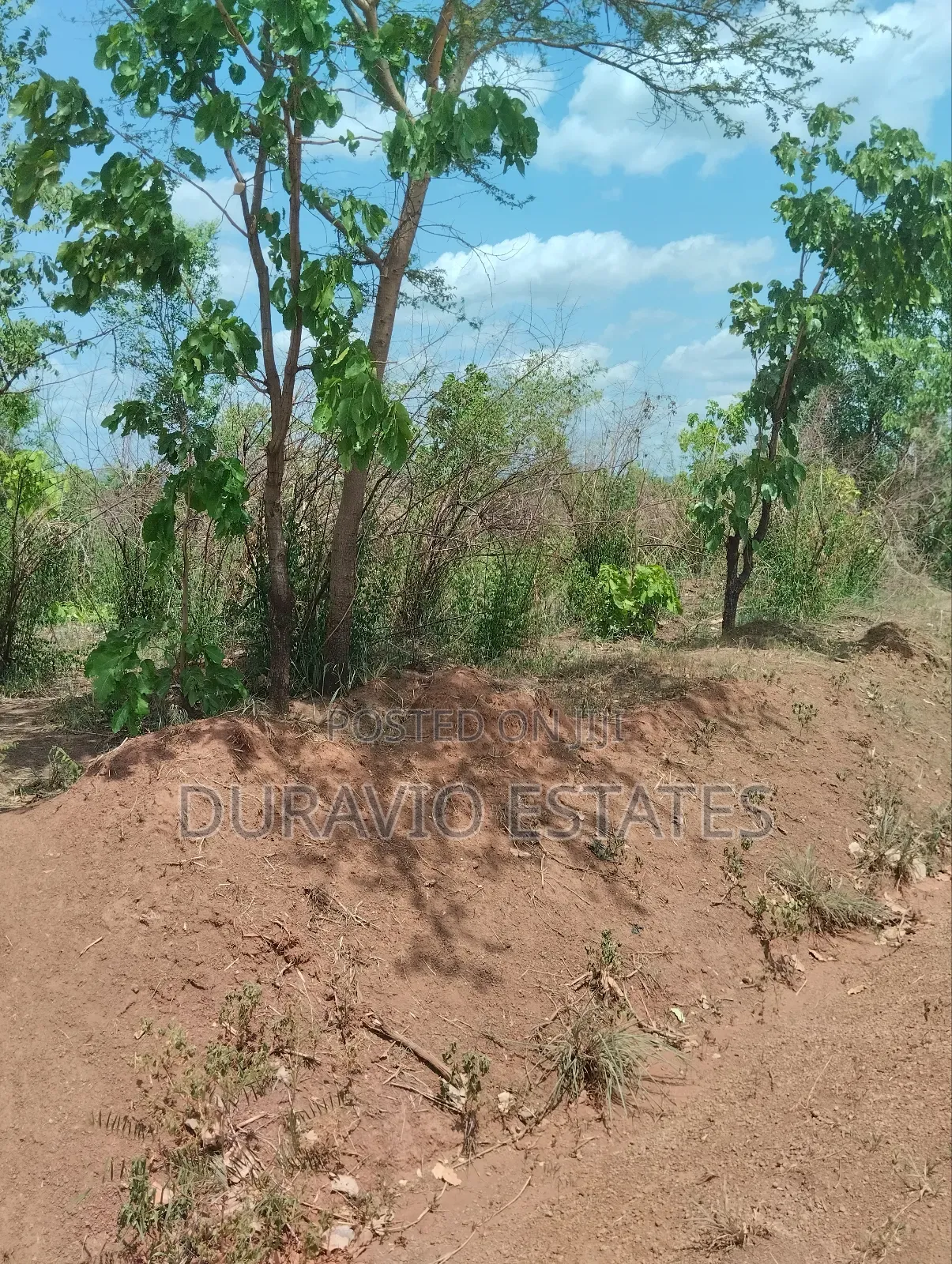 Affordable Farm Land in Nsuta in Kumasi Metropolitan