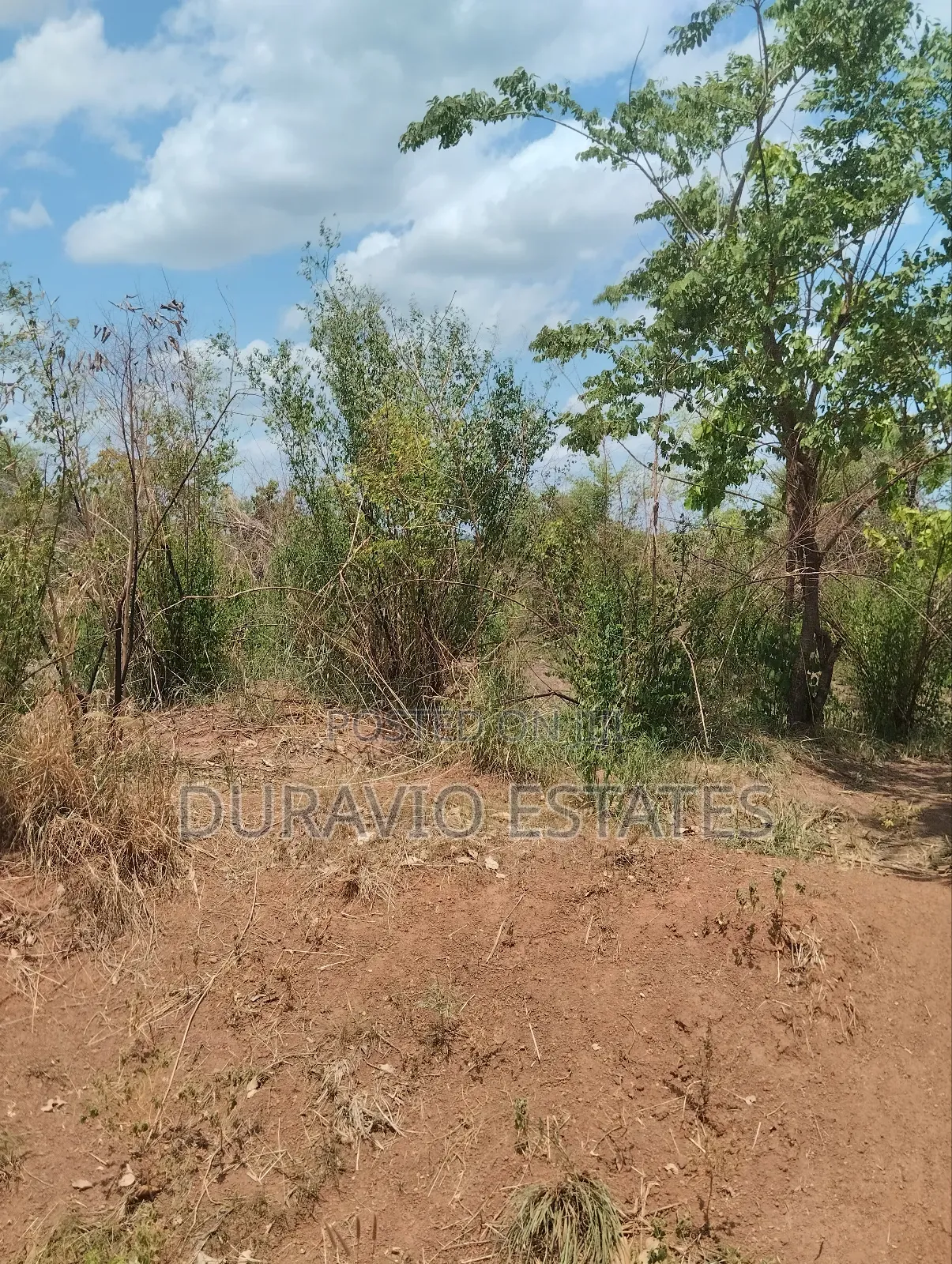 Affordable Farm Land in Nsuta in Kumasi Metropolitan