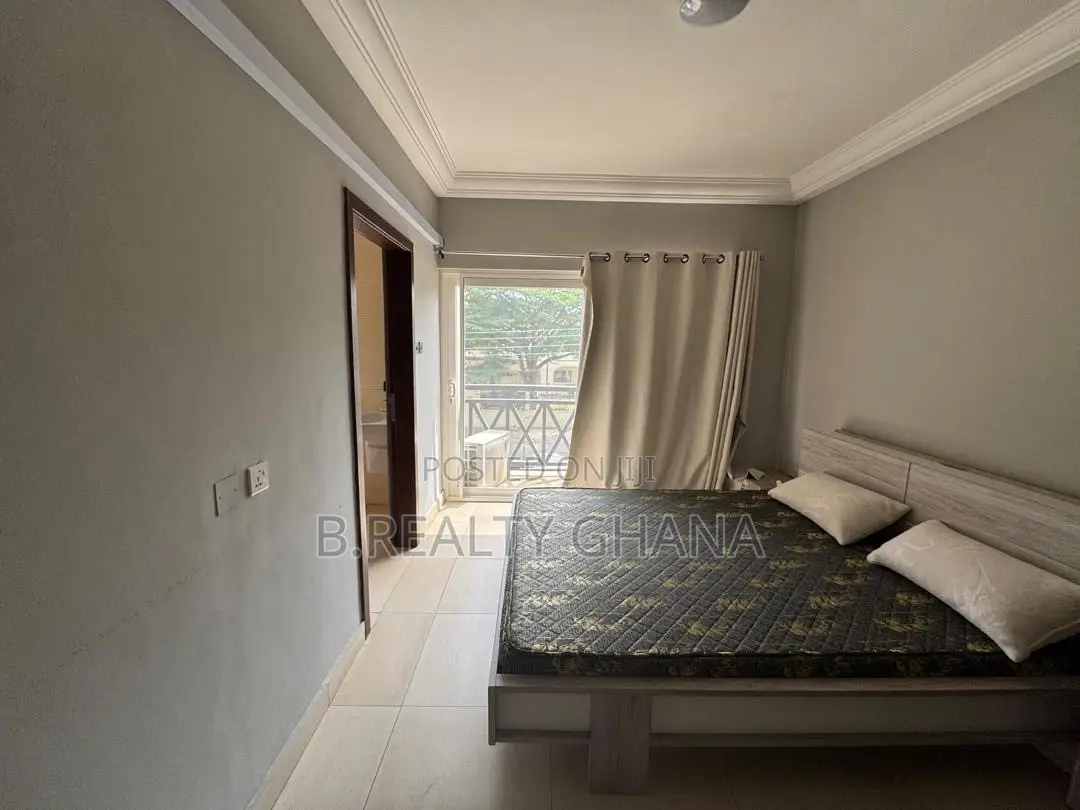 Furnished 3bdrm House in Airport Residential Area for rent in Airport Residential Area