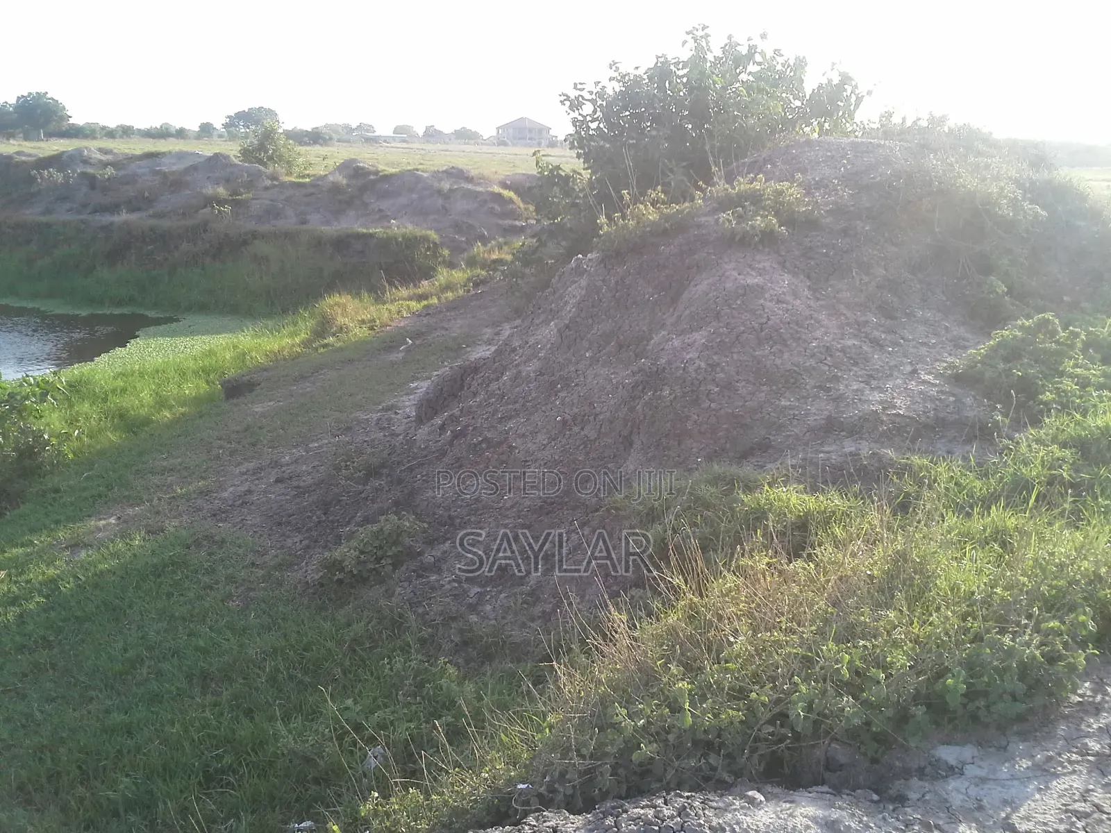 Virgin Gold And Farming Lands For Long Lease And Sale in Tema Metropolitan