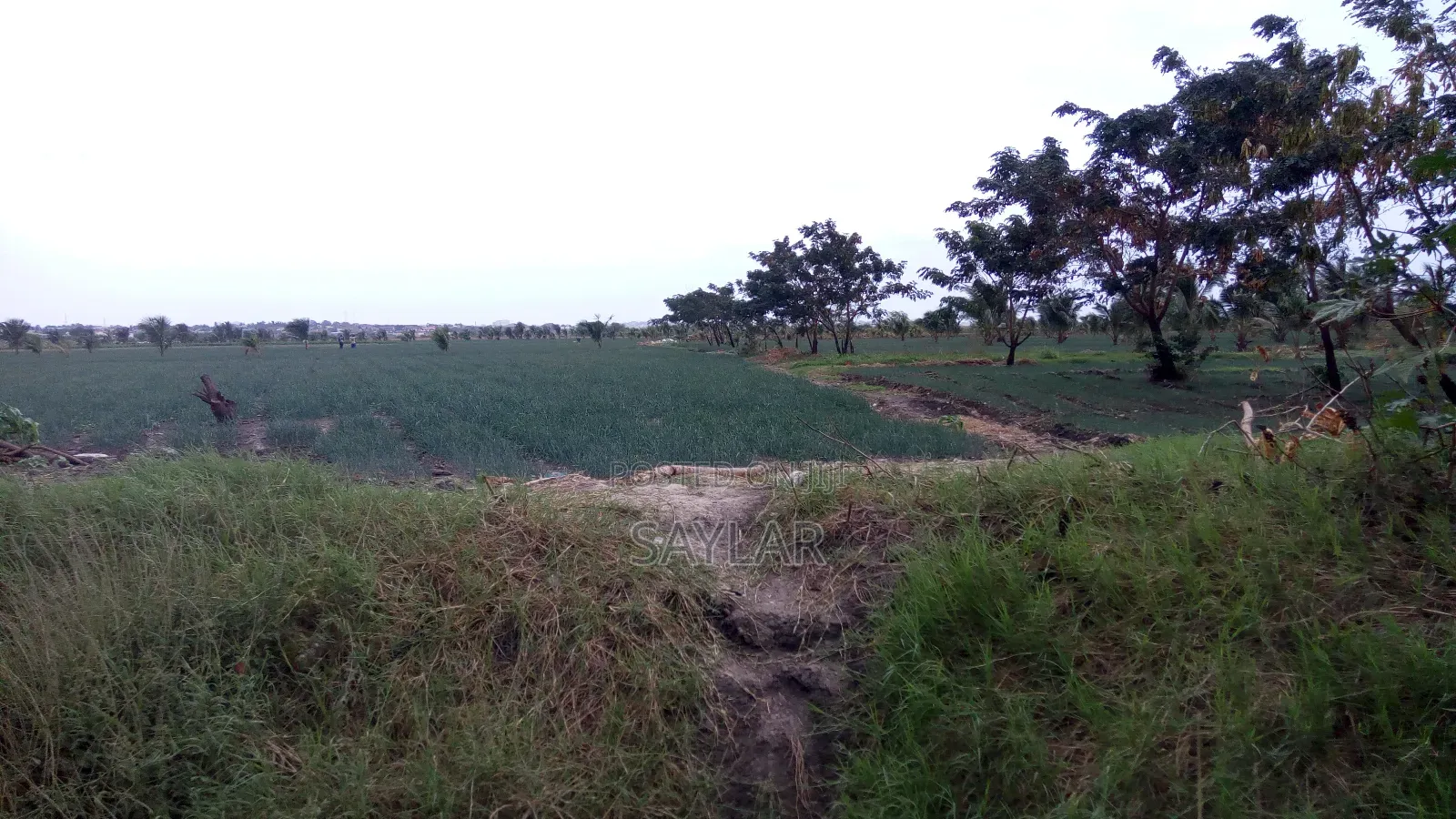 Farm Lands For Long Lease And Sale in Tema Metropolitan