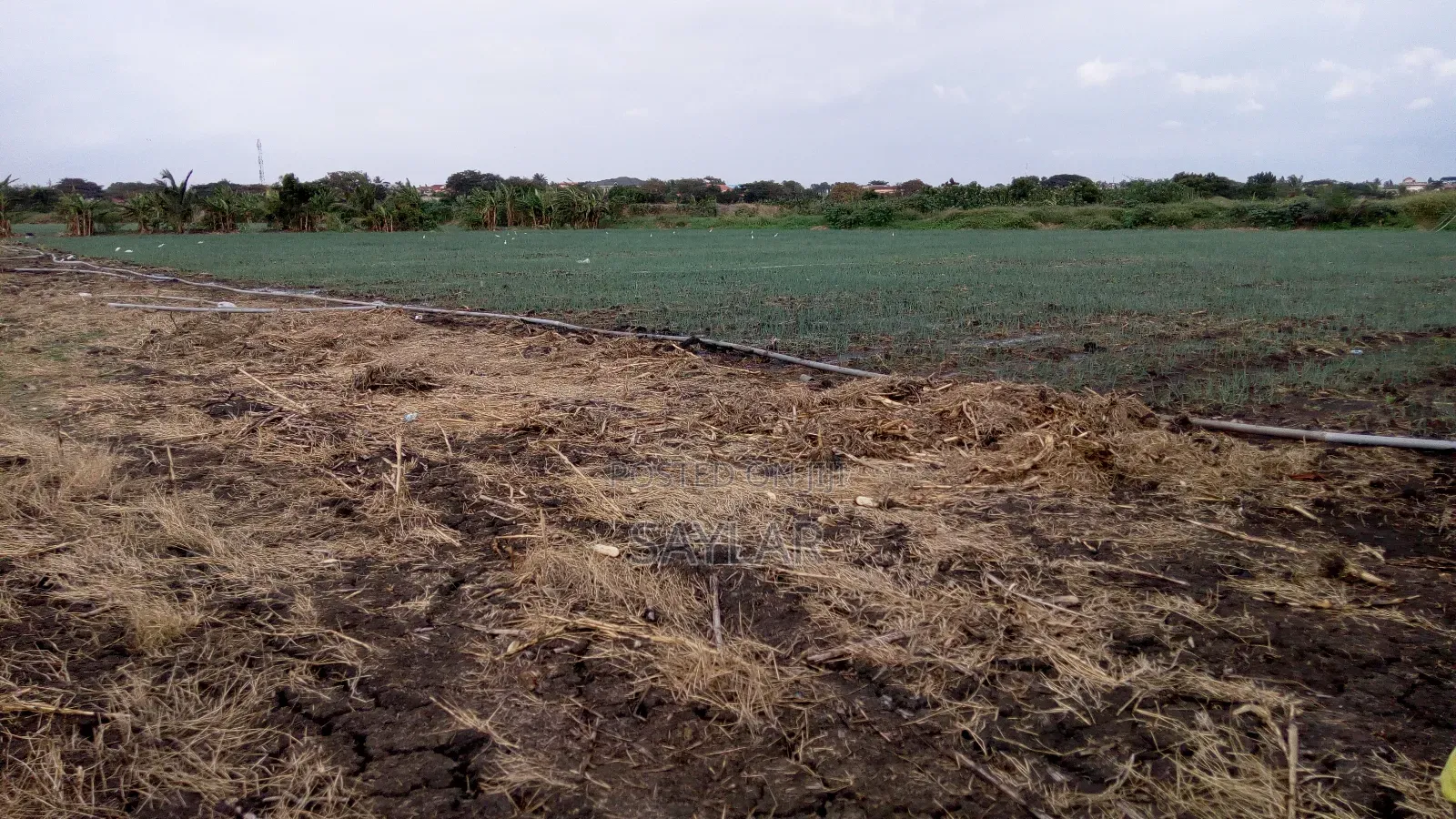 Farm Lands For Long Lease And Sale in Tema Metropolitan