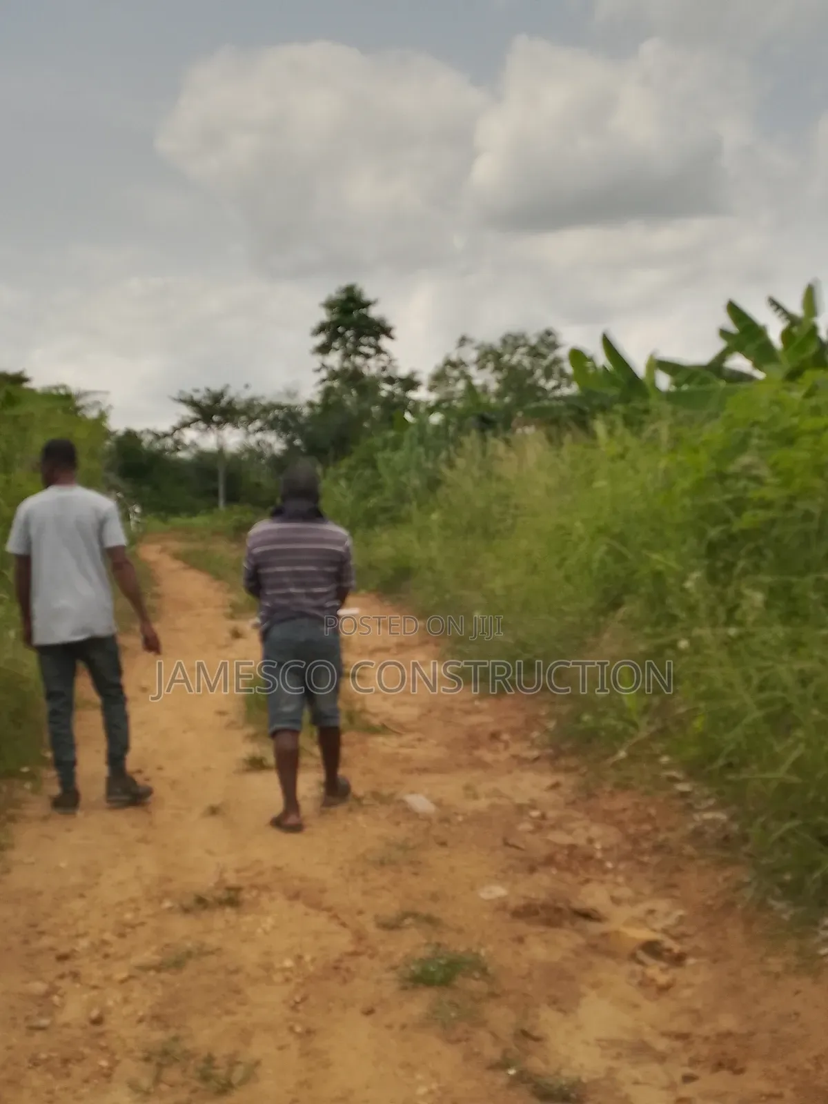 Farmlands for Sale in Ayensuano