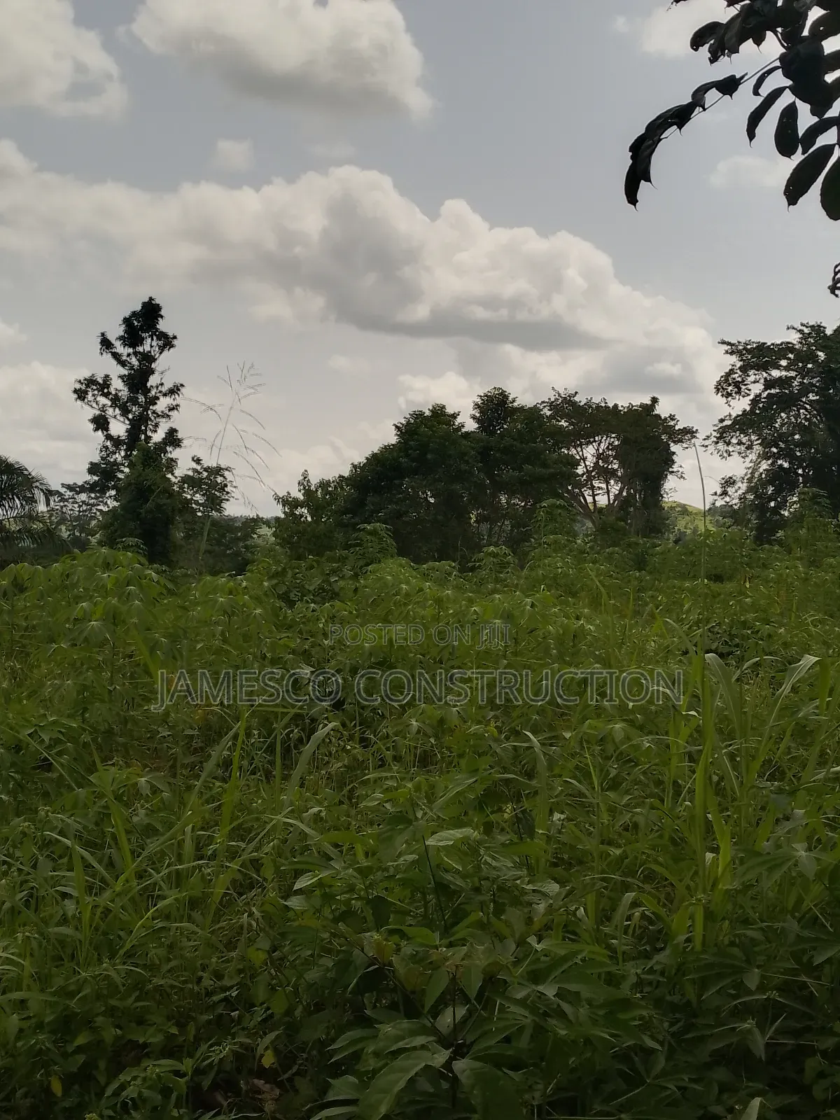 Farmlands for Sale in Ayensuano