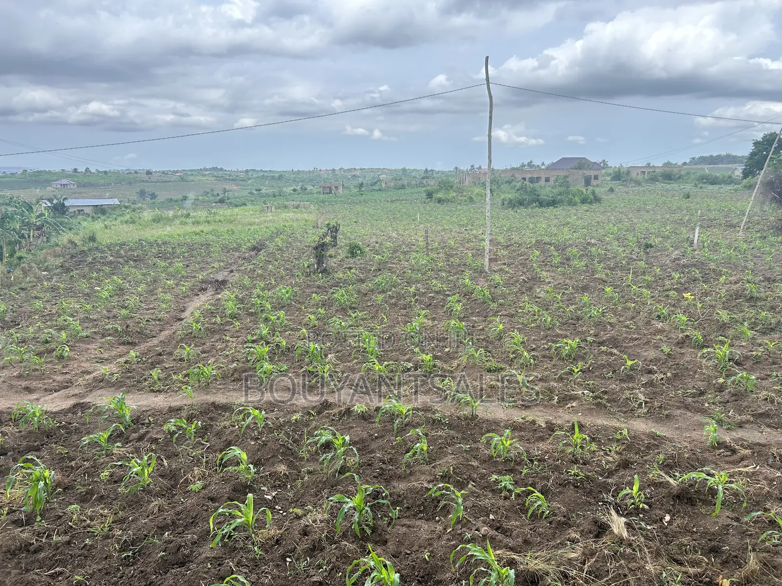 5plots of Land for Sale at Kasoa, New Ntonkrowa in Kasoa
