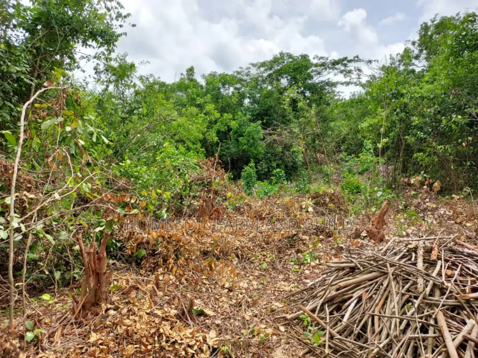 2 Acres Roadside (Main Highway) Residential/Commercial Land in Gomoa West