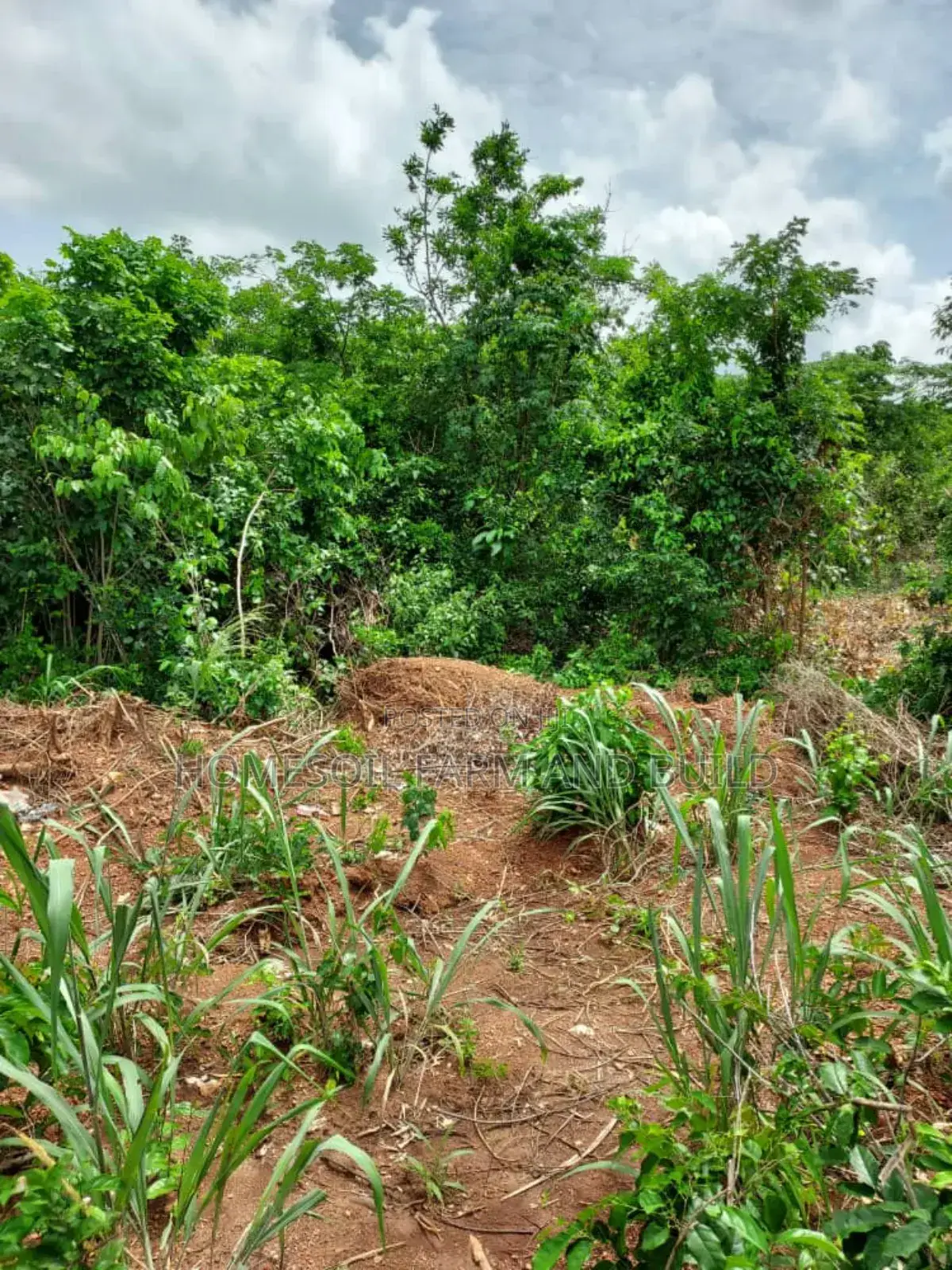 2 Acres Roadside (Main Highway) Residential/Commercial Land in Gomoa West