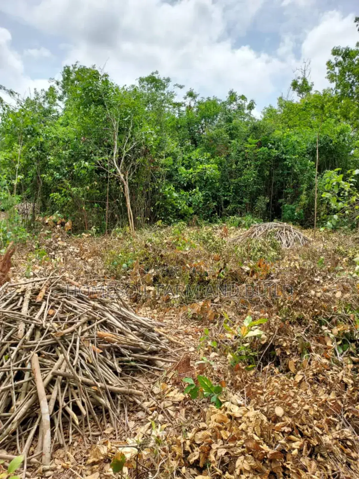 2 Acres Roadside (Main Highway) Residential/Commercial Land in Gomoa West