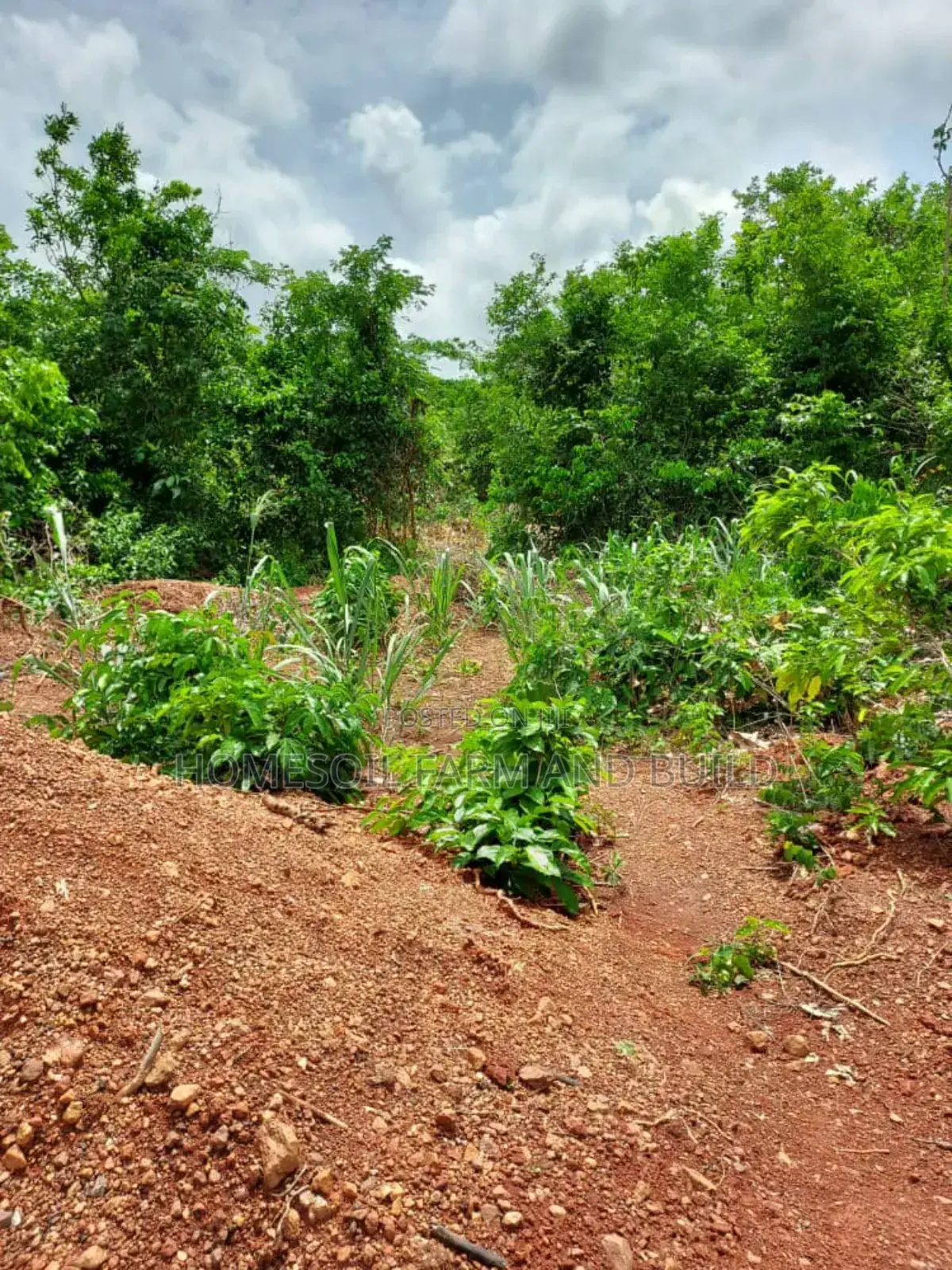 2 Acres Roadside (Main Highway) Residential/Commercial Land in Gomoa West