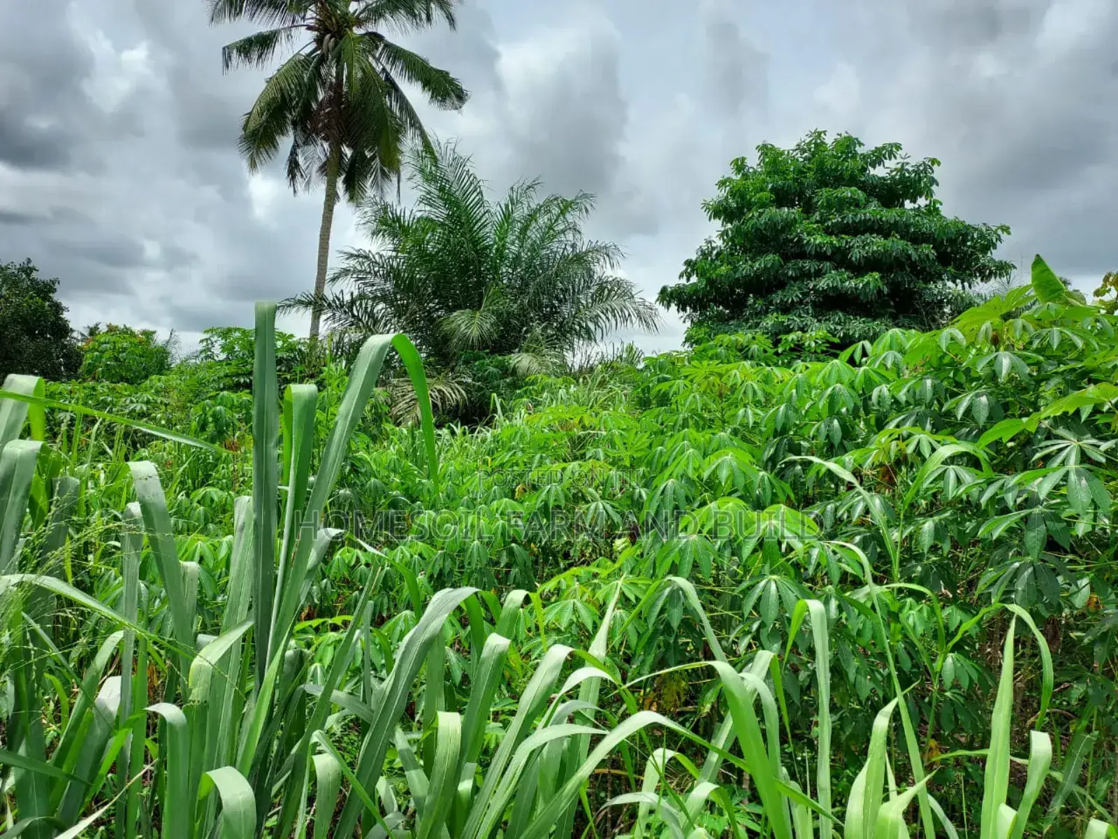 2 Plots of Litigation-Free, Strategically Located Land in Awutu Senya West