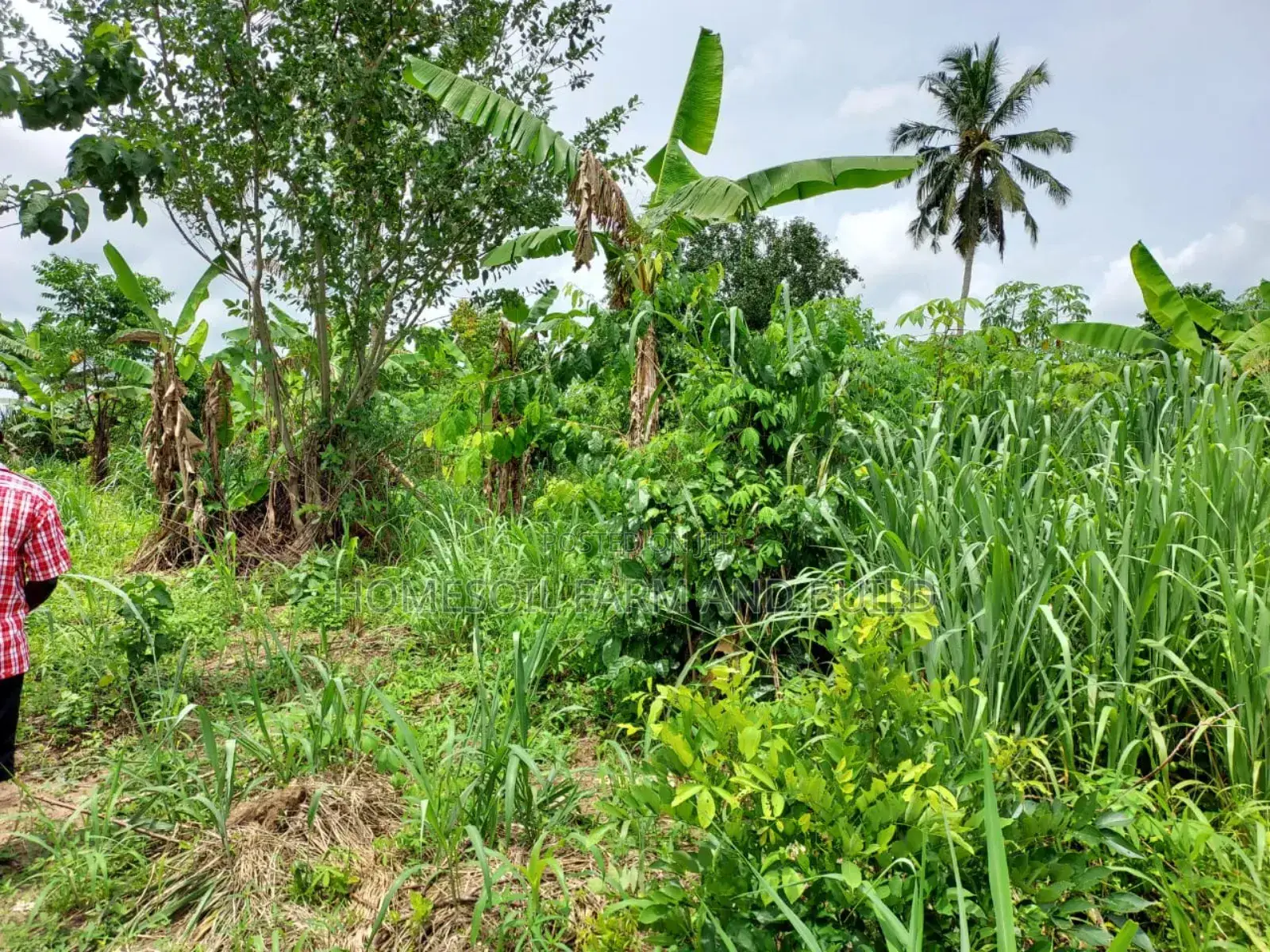 2 Plots of Litigation-Free, Strategically Located Land in Awutu Senya West