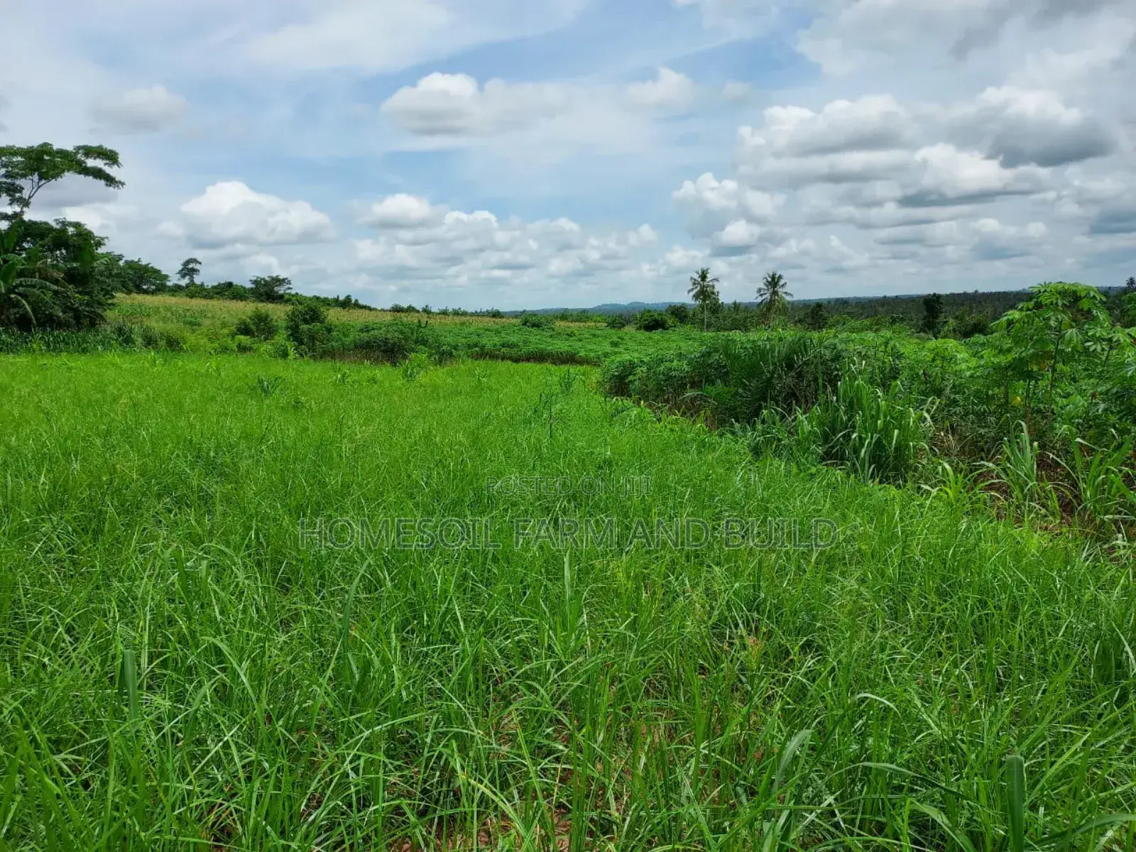 2 Plots of Litigation-Free, Strategically Located Land in Awutu Senya West