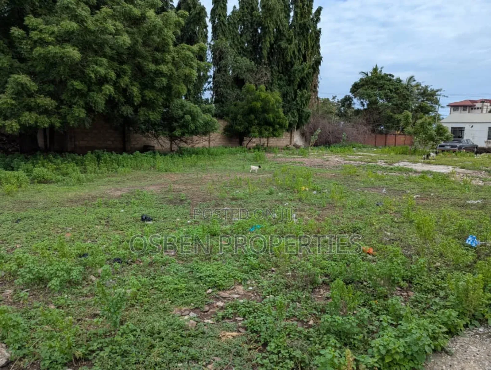 Land for Sale. Ideal for Commercial/Residential Purposes in Dzorwulu