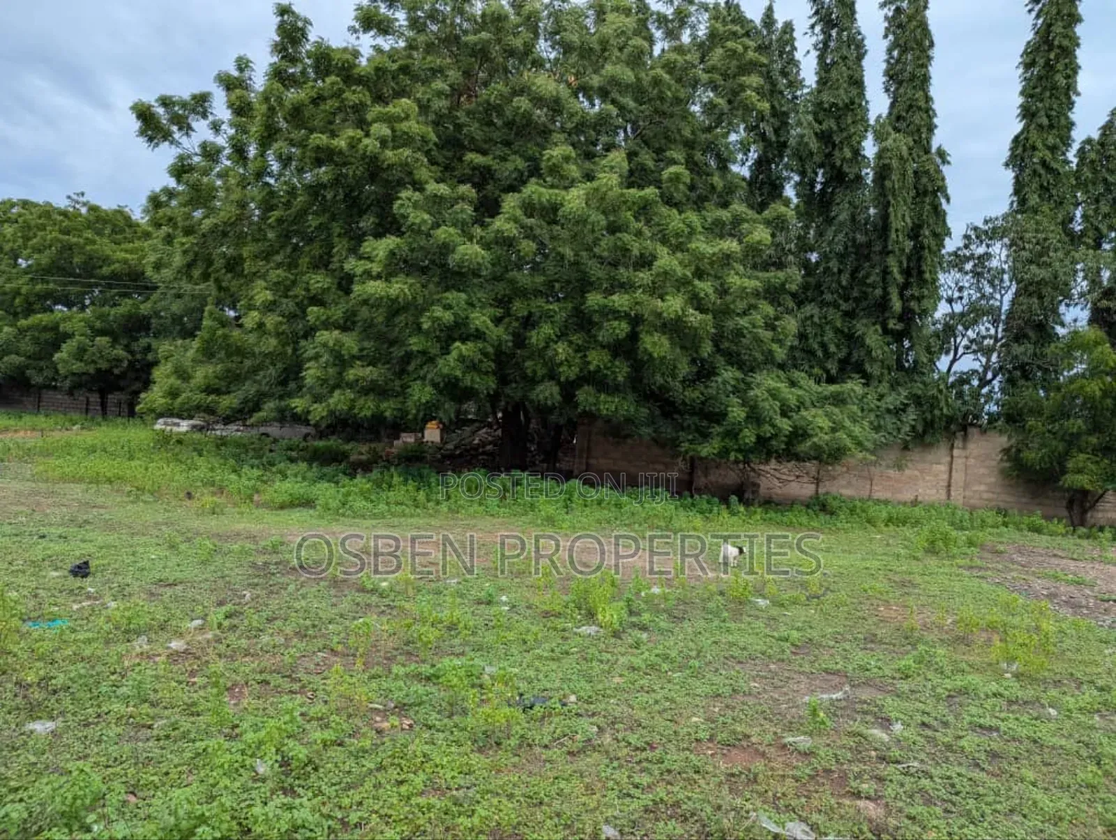 Land for Sale. Ideal for Commercial/Residential Purposes in Dzorwulu