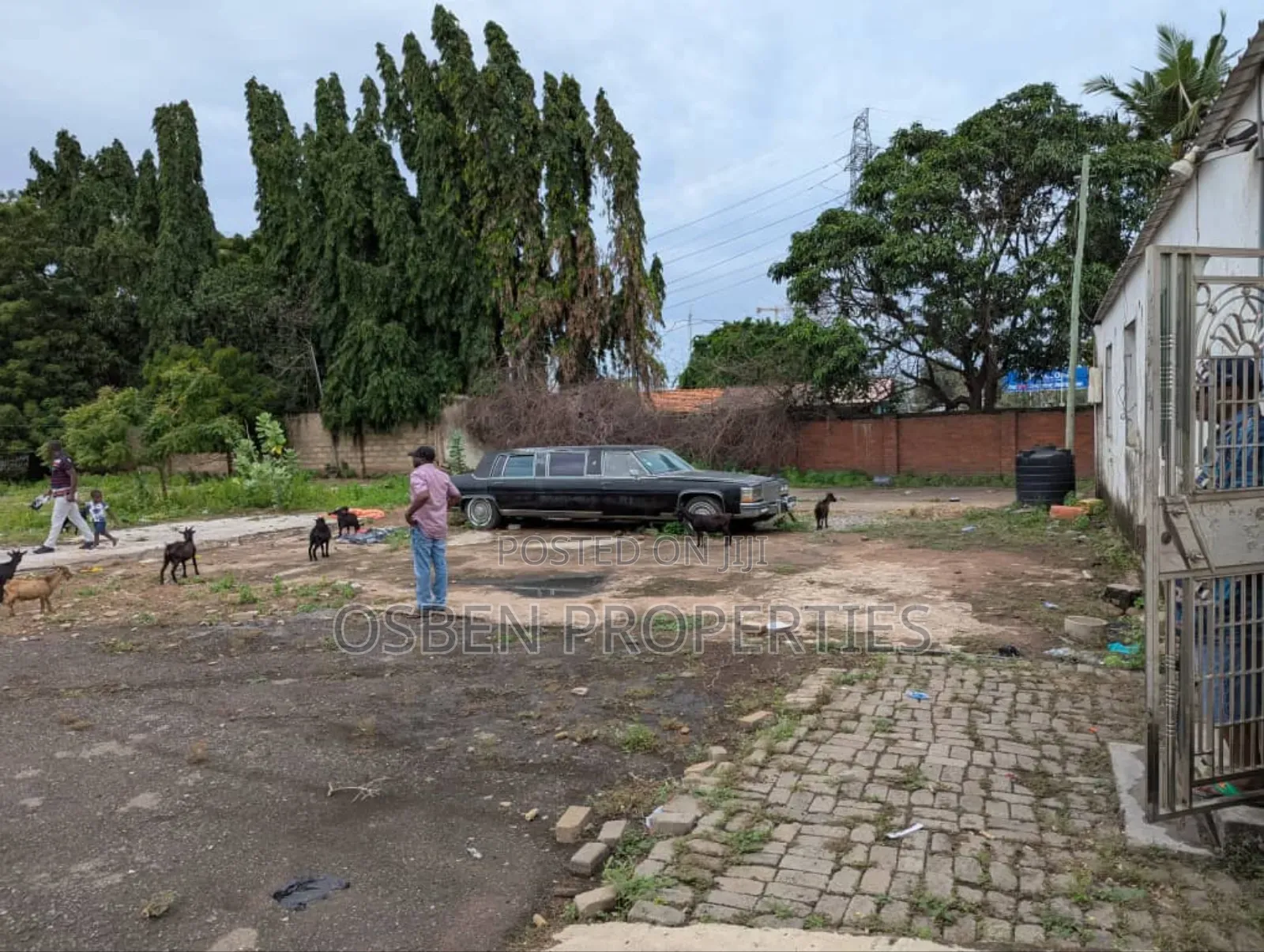 Land for Sale. Ideal for Commercial/Residential Purposes in Dzorwulu