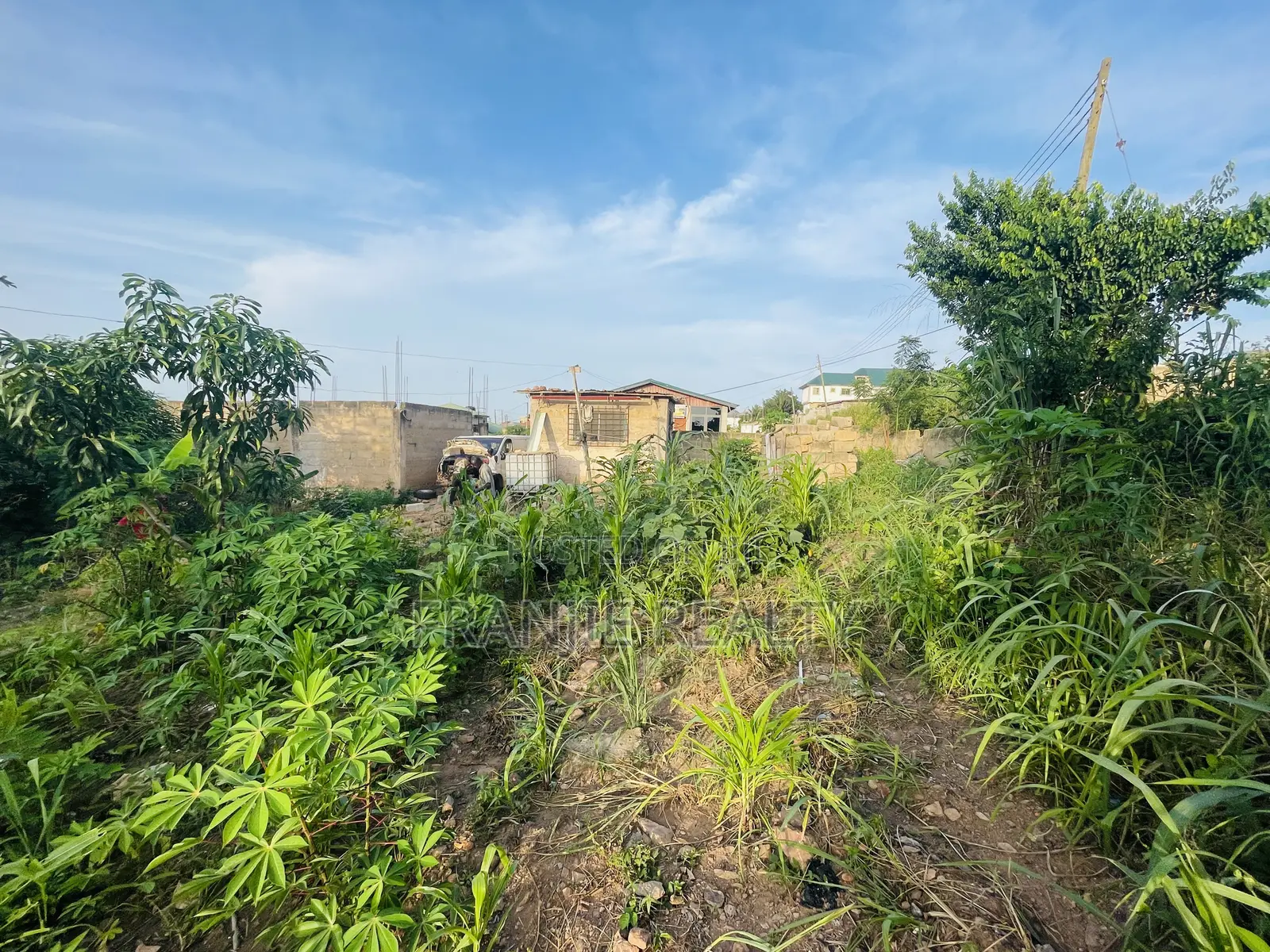 Plot of Land for Sale in Bortiano