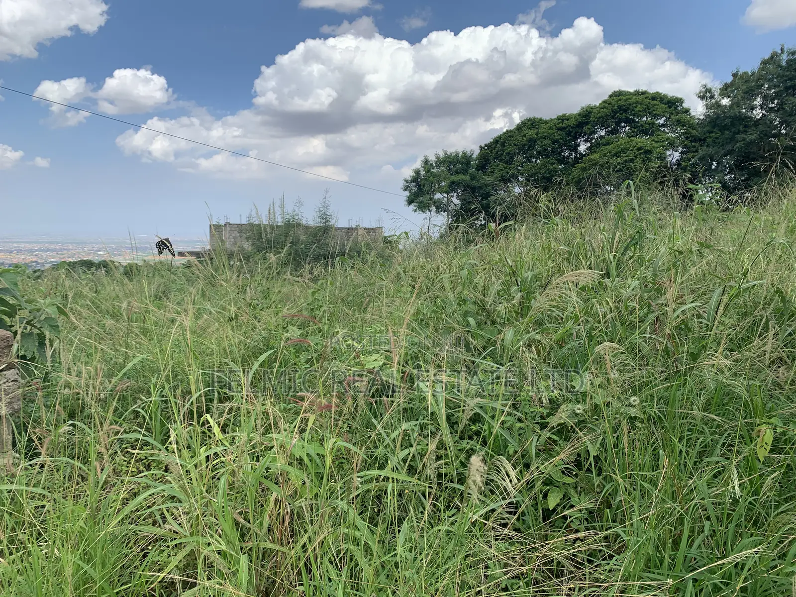 1 Plot of Land at Peduase Springfield Estate for Sale in Aburi