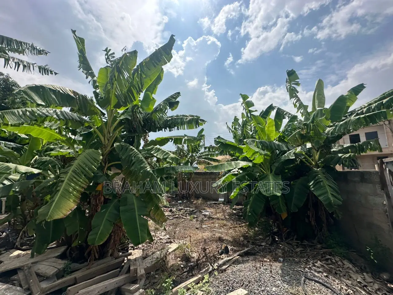  Prime 100x60ft Plot for Sale – Spintex-Batsona | $95,000 in Spintex