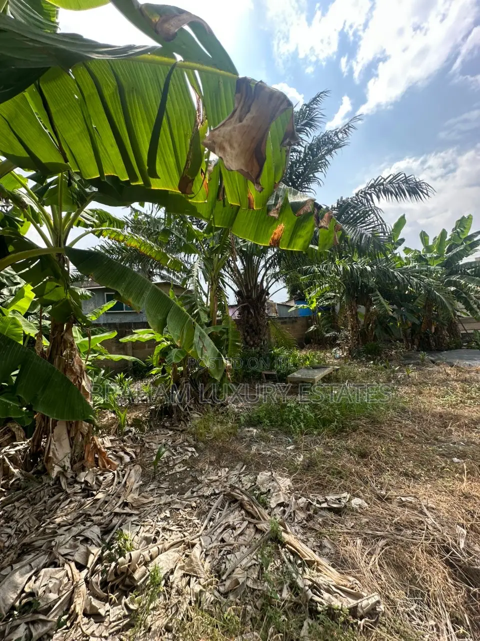  Prime 100x60ft Plot for Sale – Spintex-Batsona | $95,000 in Spintex