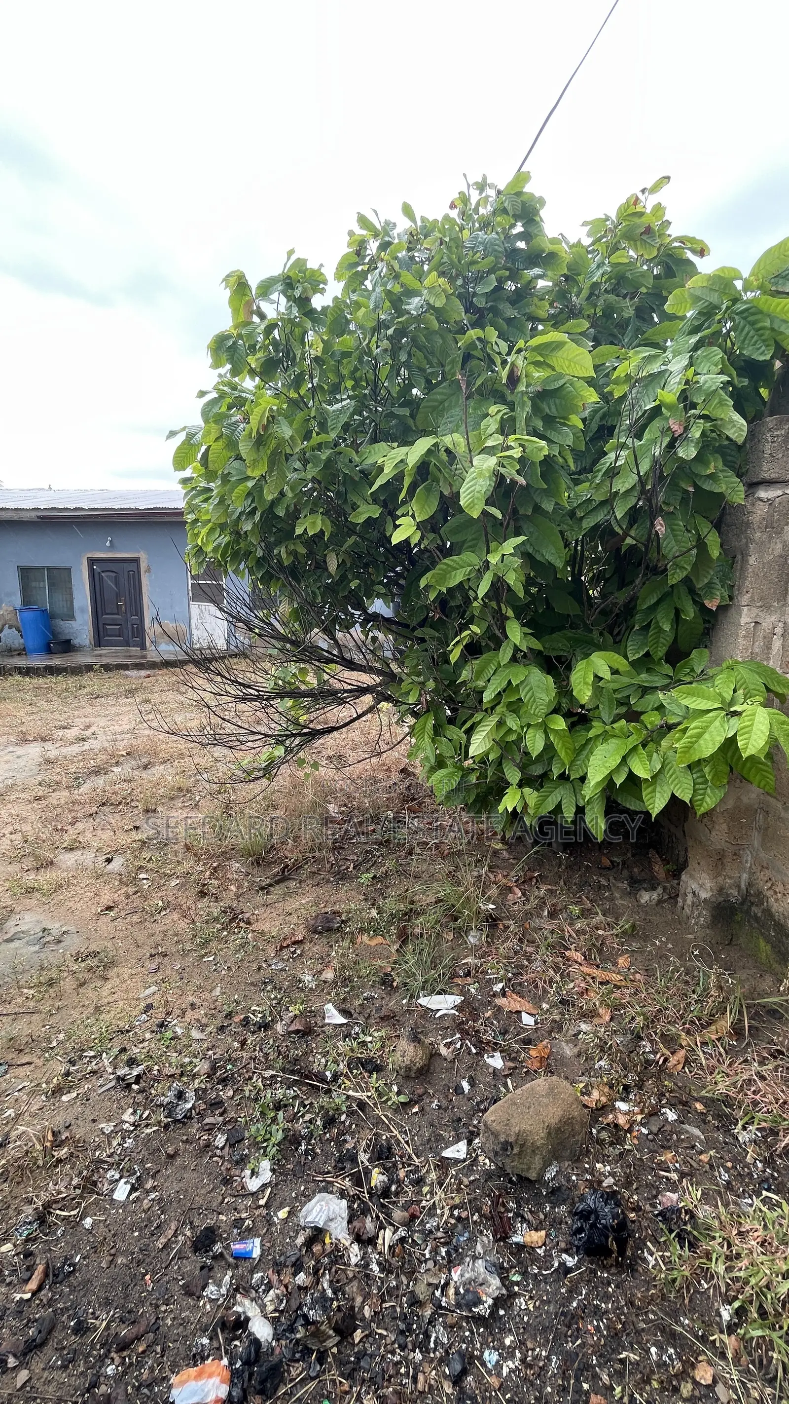 3bdrm House in Sefdard Real Estate, Amasaman for sale in Amasaman