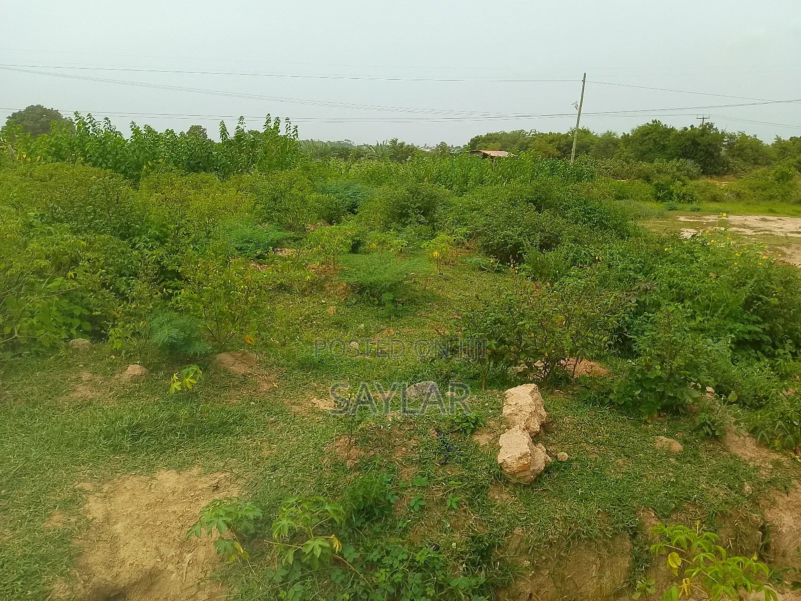 Full Plot for Sale Agyei Kwajo in Tema Metropolitan
