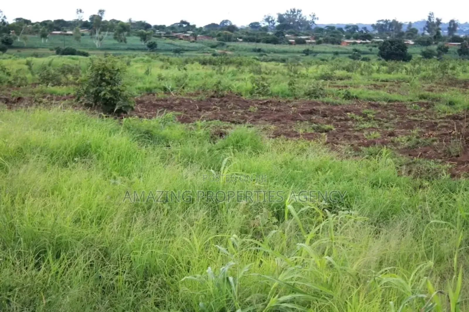 15 Acres of Land at Tema Industrial Area in Tema Metropolitan
